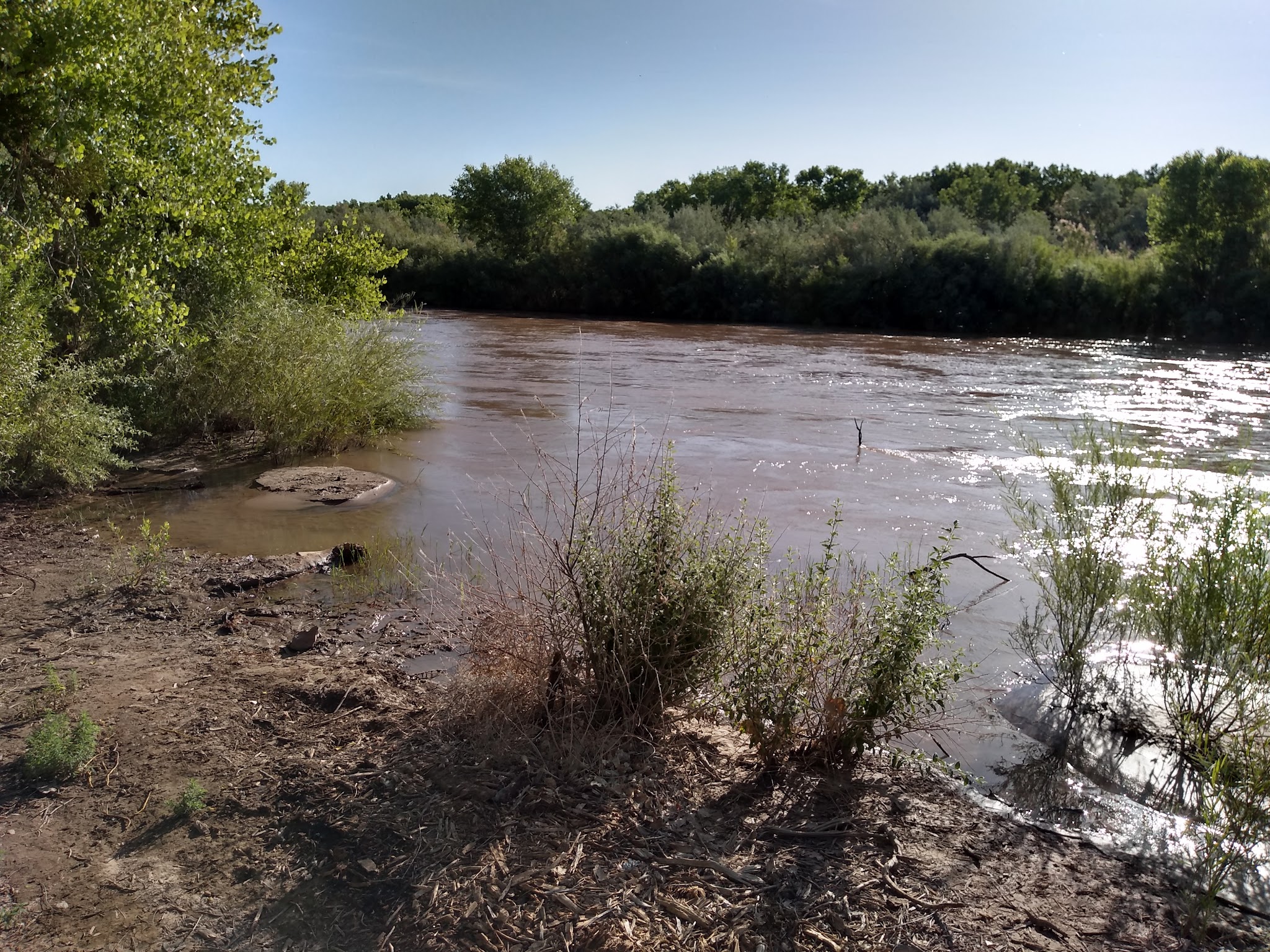 Otero Park - Socorro, NM