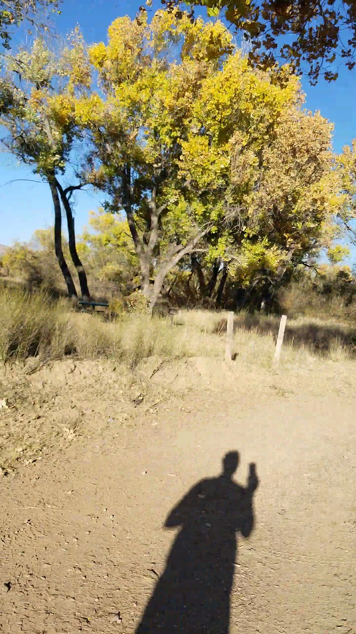 Sandbar Park - Socorro, NM