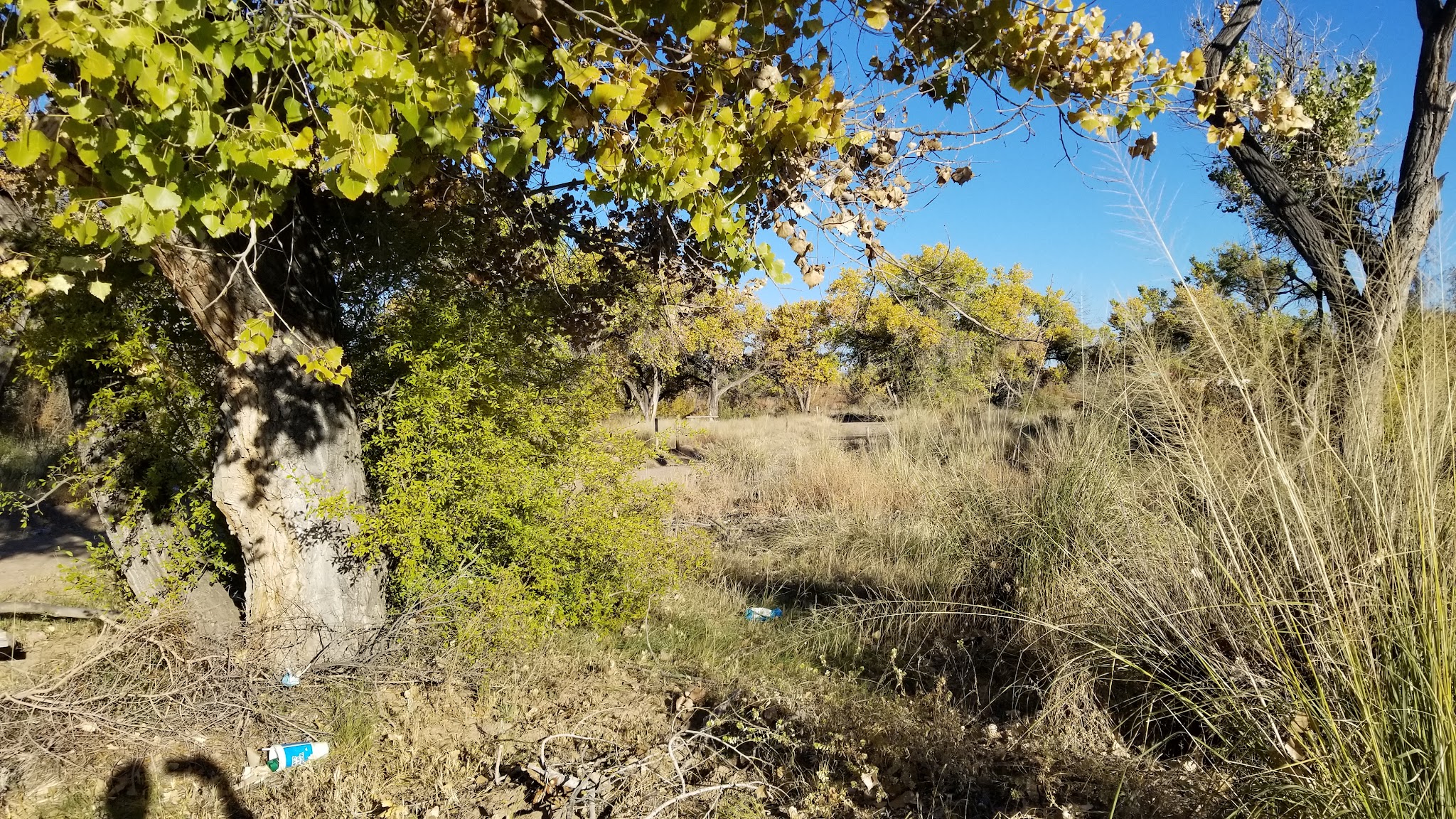 Sandbar Park - Socorro, NM