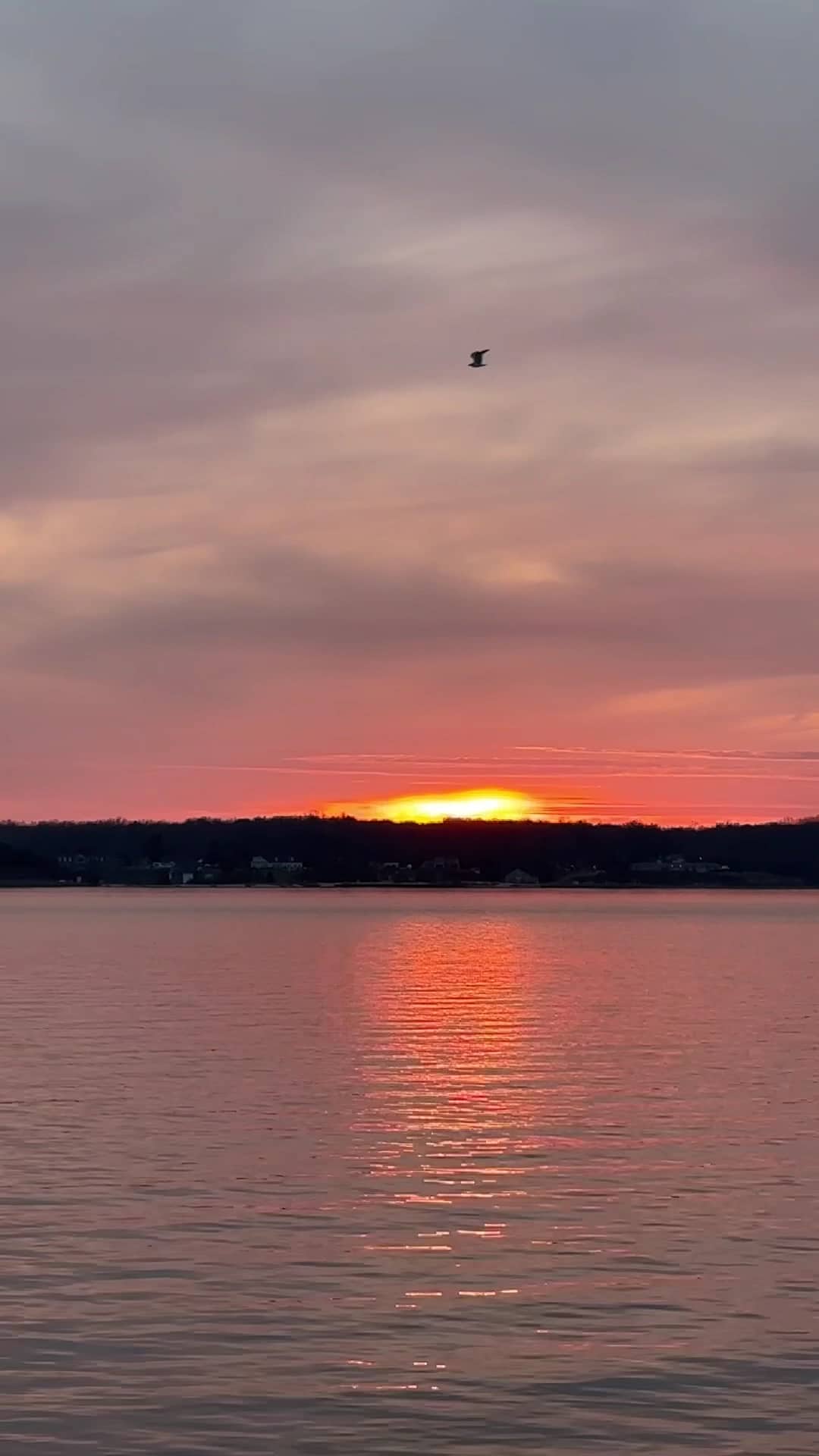Solomons Island Gazebo - Solomons, MD