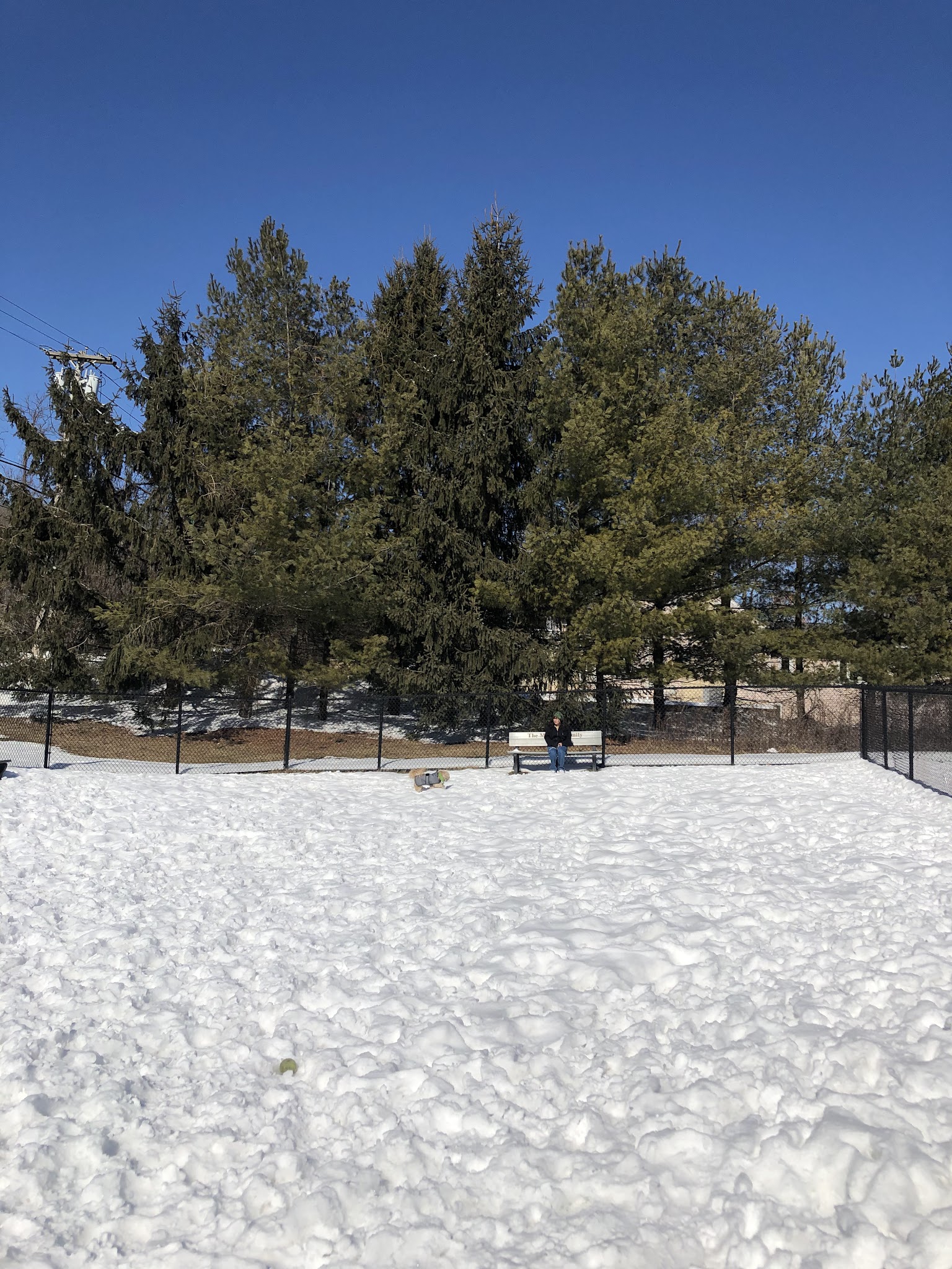 Somers Dog Park - Somers, NY