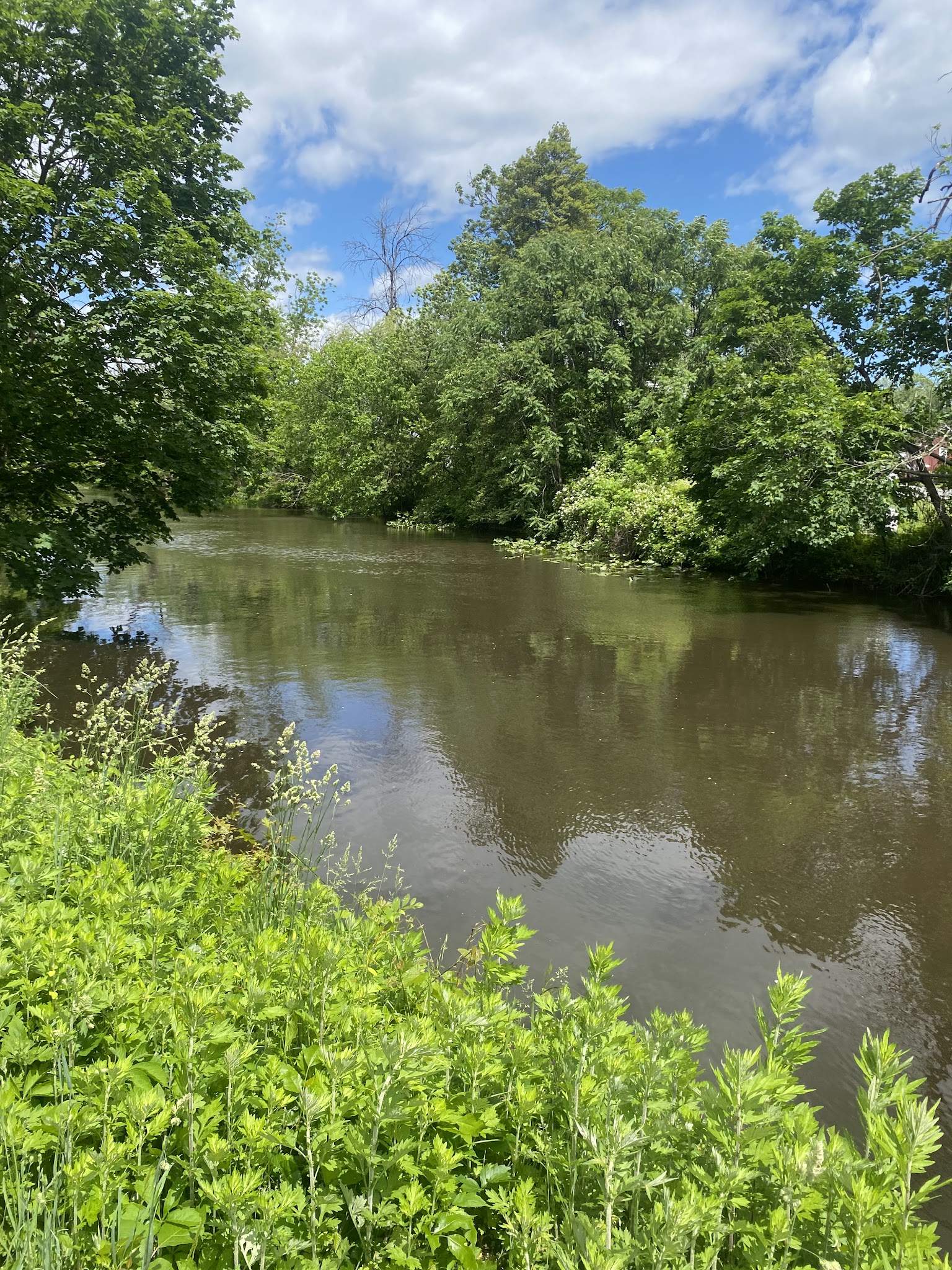 Delaware & Raritan Canal State Park Trail - Colonial Park - Somerset, NJ