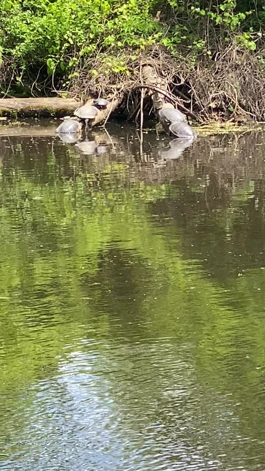Delaware & Raritan Canal State Park Trail - Colonial Park - Somerset, NJ
