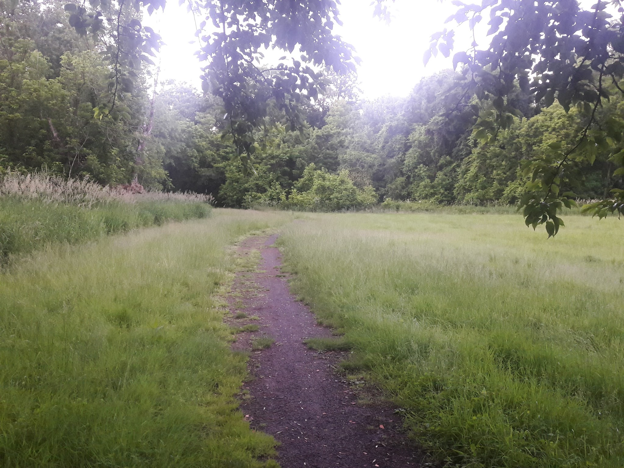 Arthur Chambres Park - Somerville, NJ