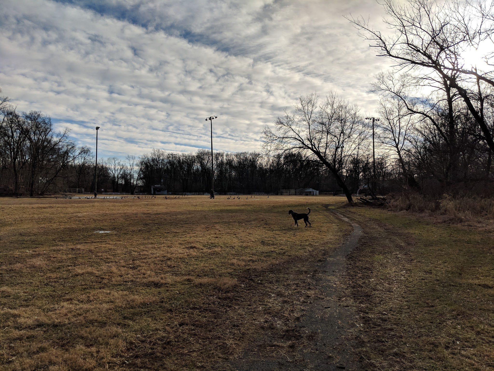 Arthur Chambres Park - Somerville, NJ