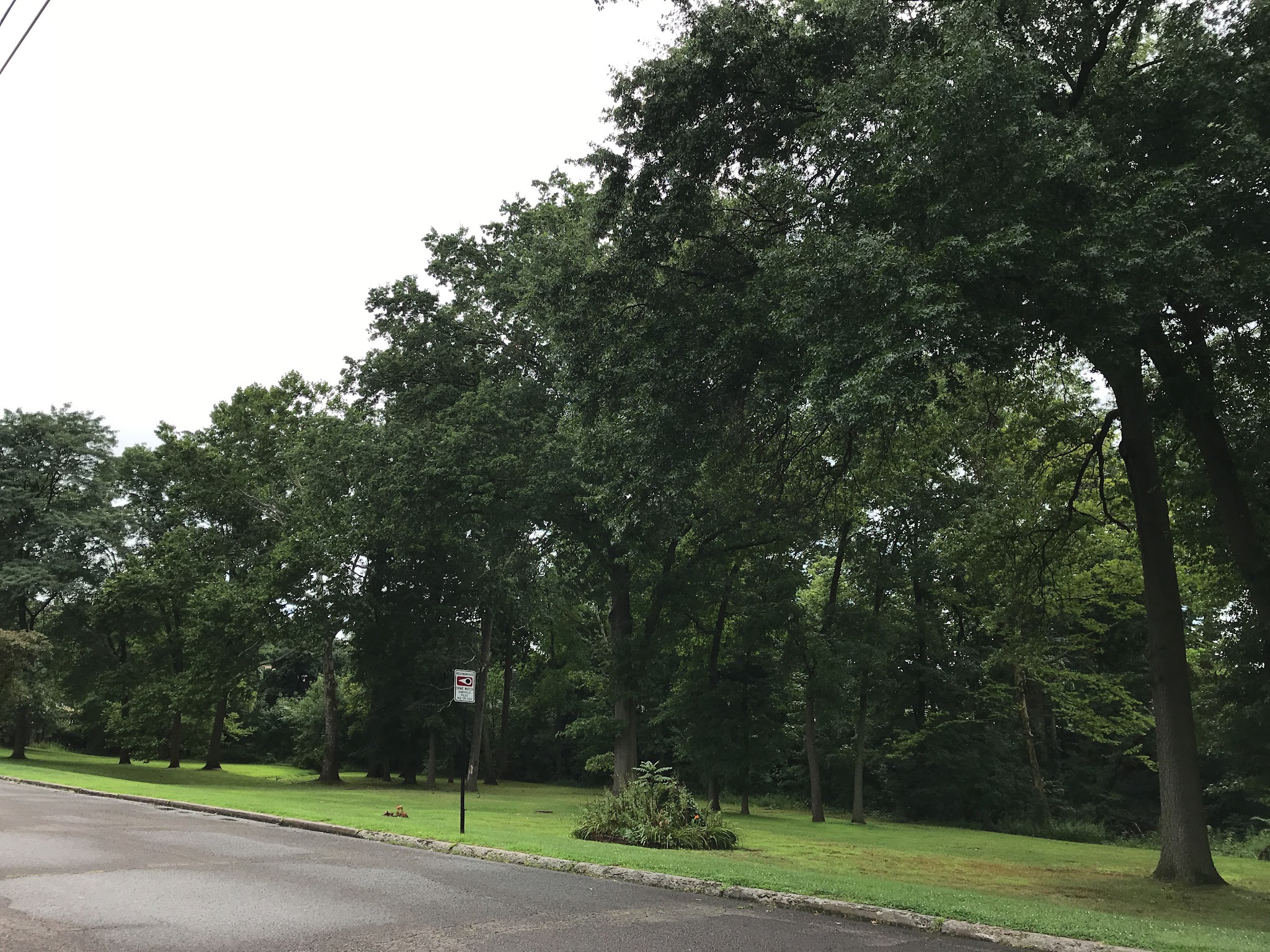 Walck Park - Somerville, NJ