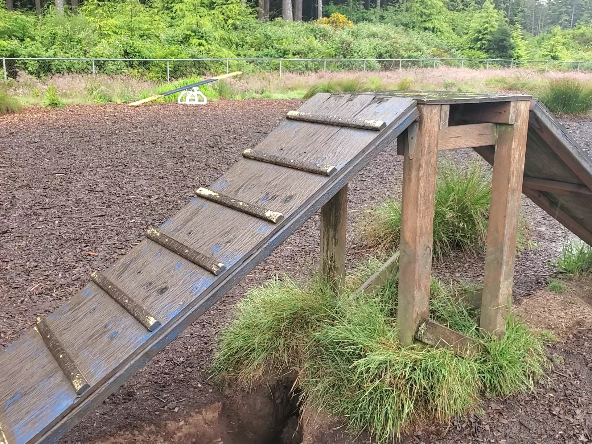 Wilder Dog Park - South Beach, OR