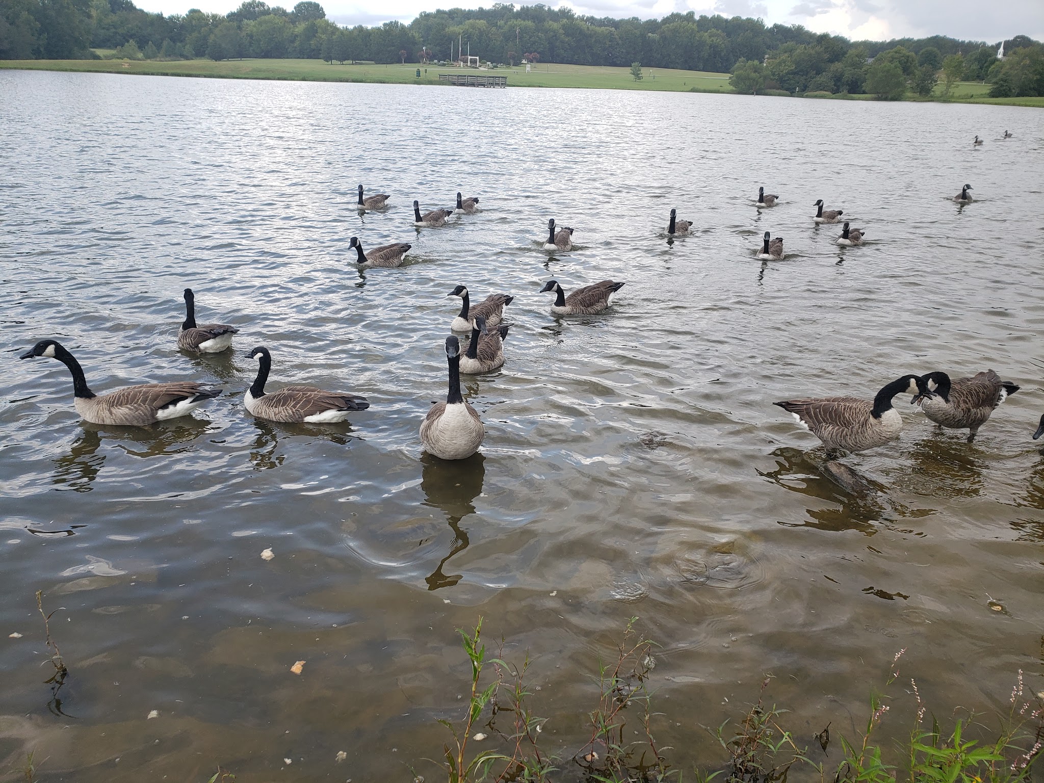 Paul C. Edmunds Park - South Boston, VA