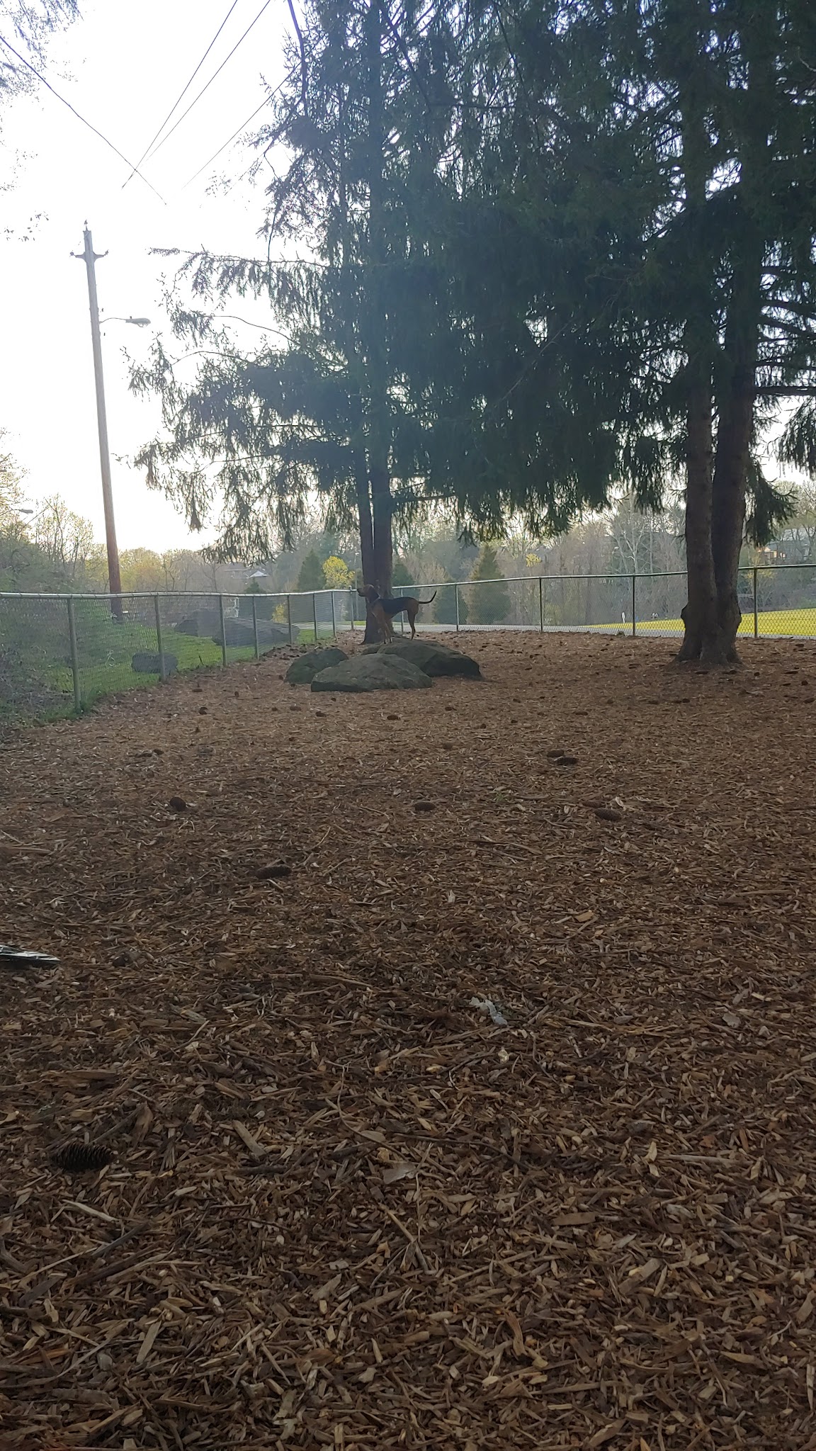 Joplin Park - South Charleston, WV