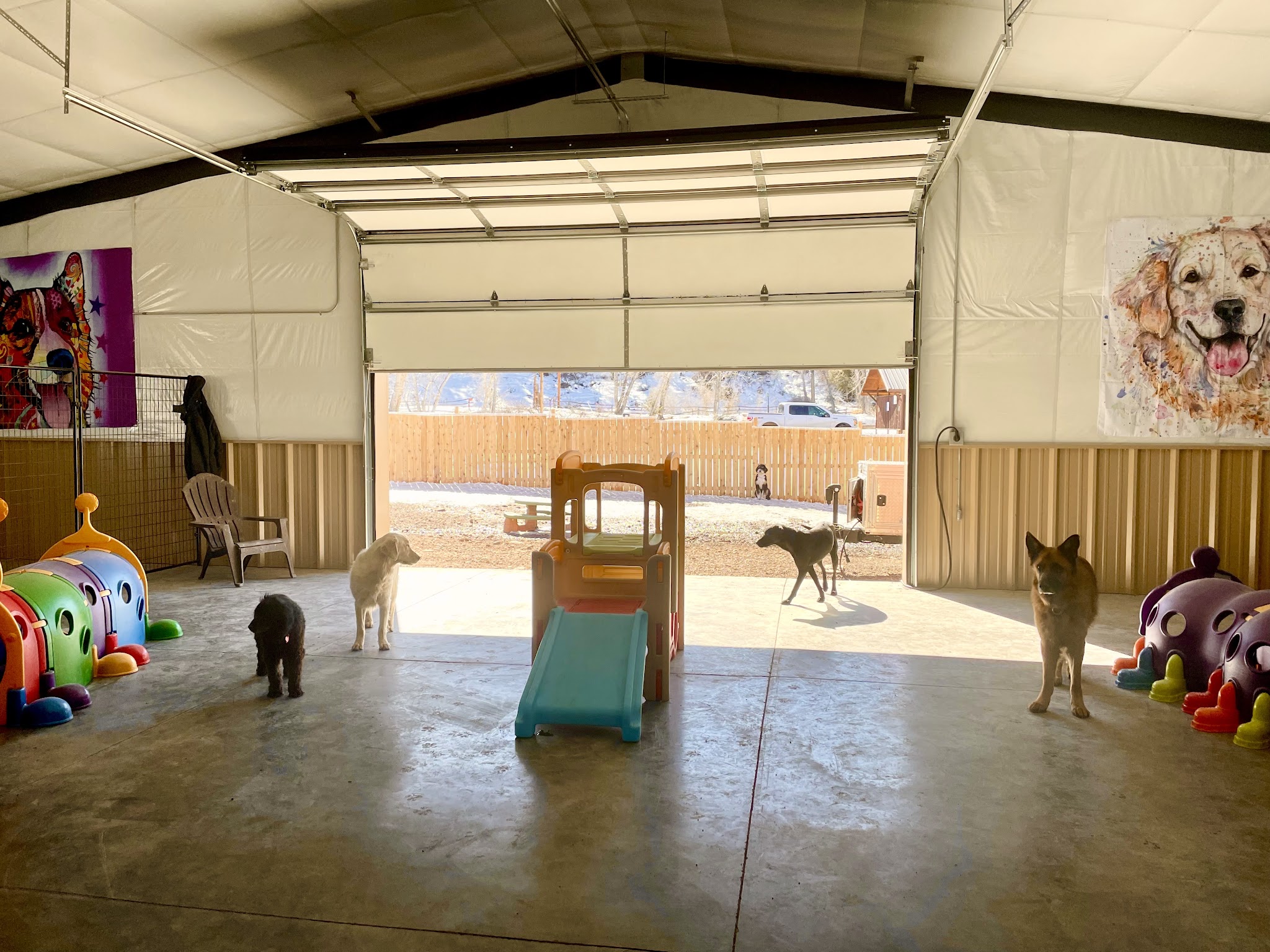 Ruff Dogs - South Fork, CO