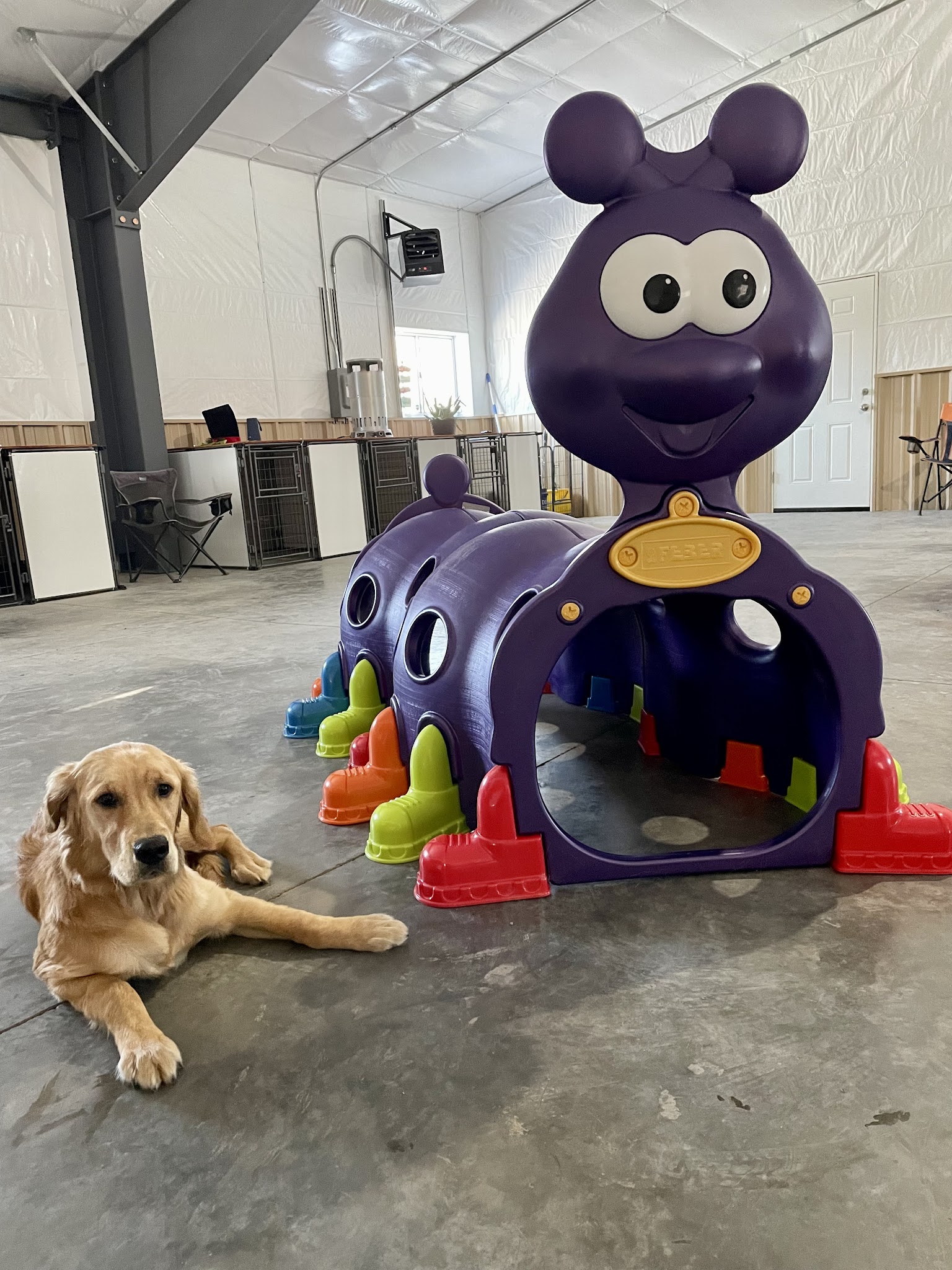 Ruff Dogs - South Fork, CO