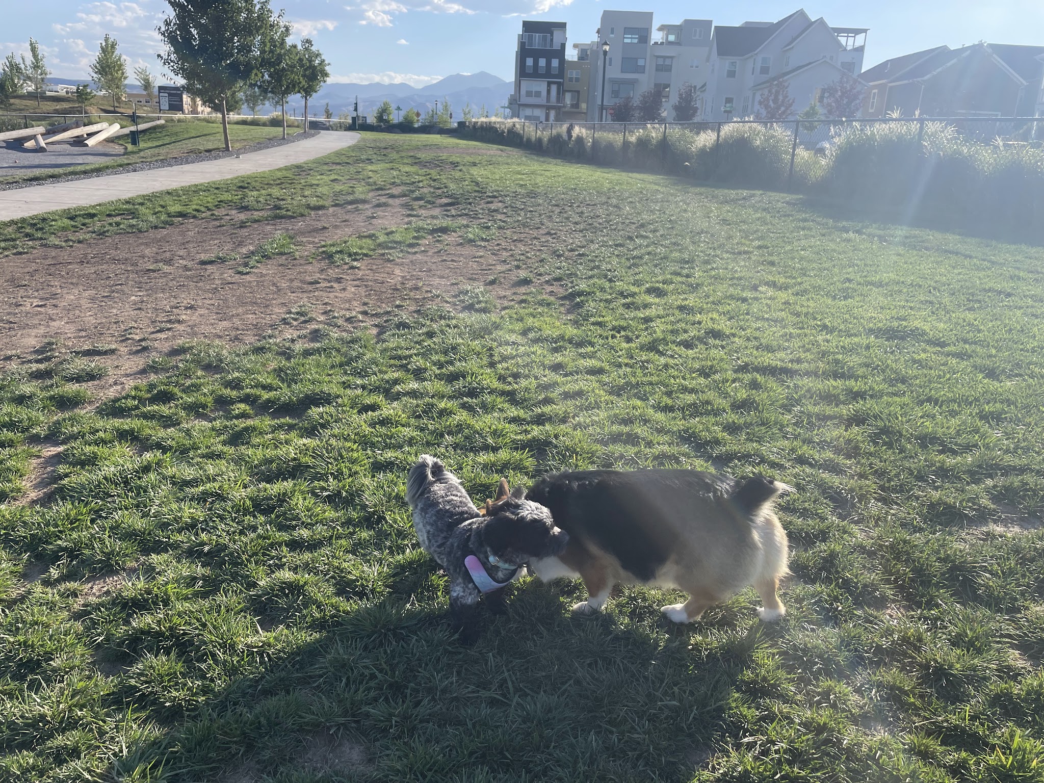 Daybreak Dog Park - South Jordan, UT