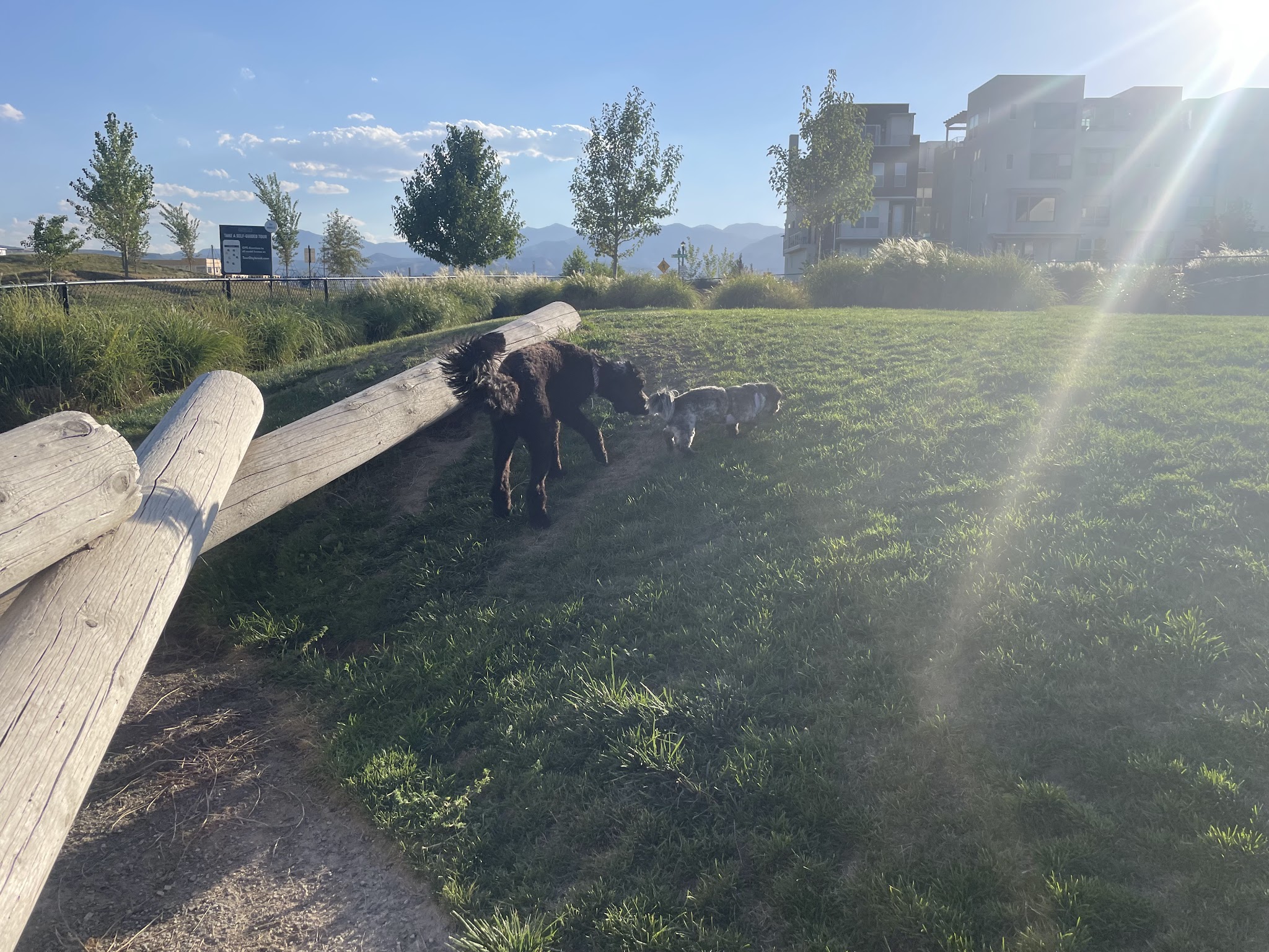 Daybreak Dog Park - South Jordan, UT