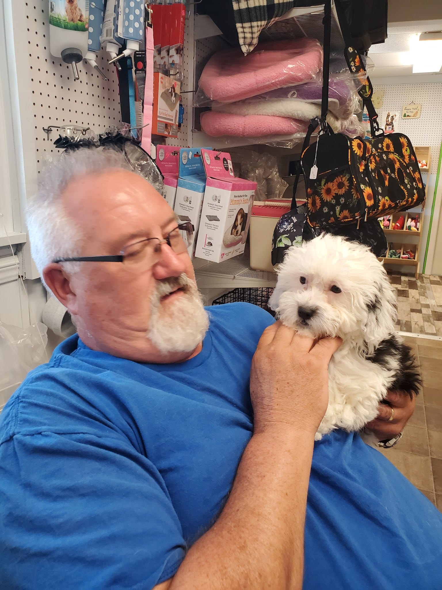 Mainely Puppies Plus - South Paris, ME