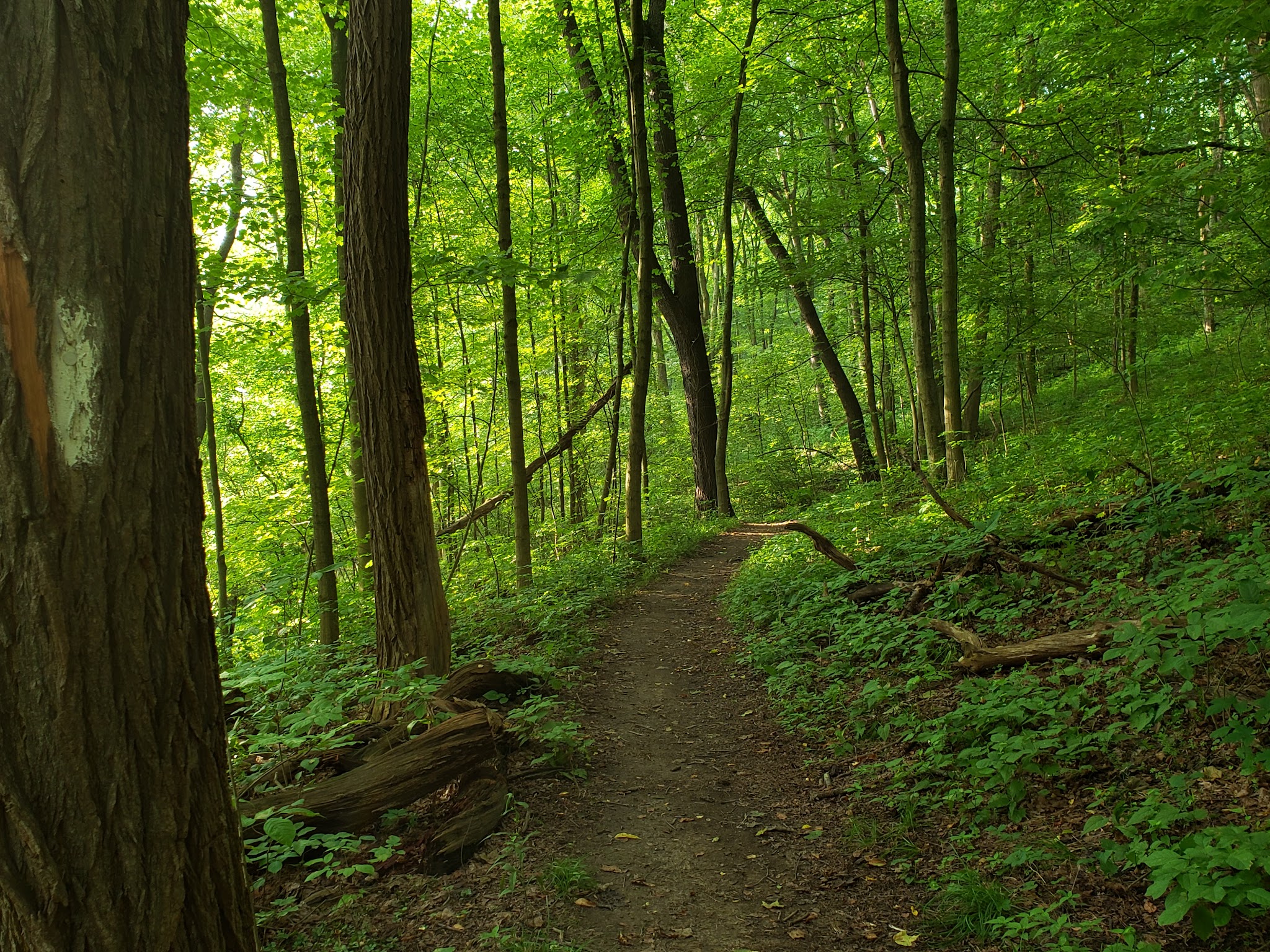 South Park - South Park Township, PA