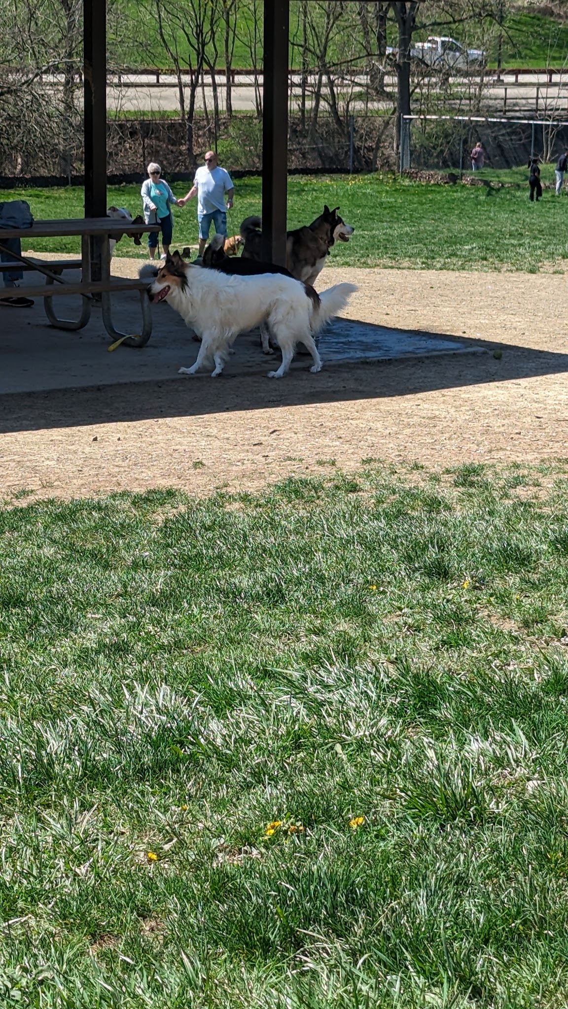 South Park Dog Park - South Park Township, PA