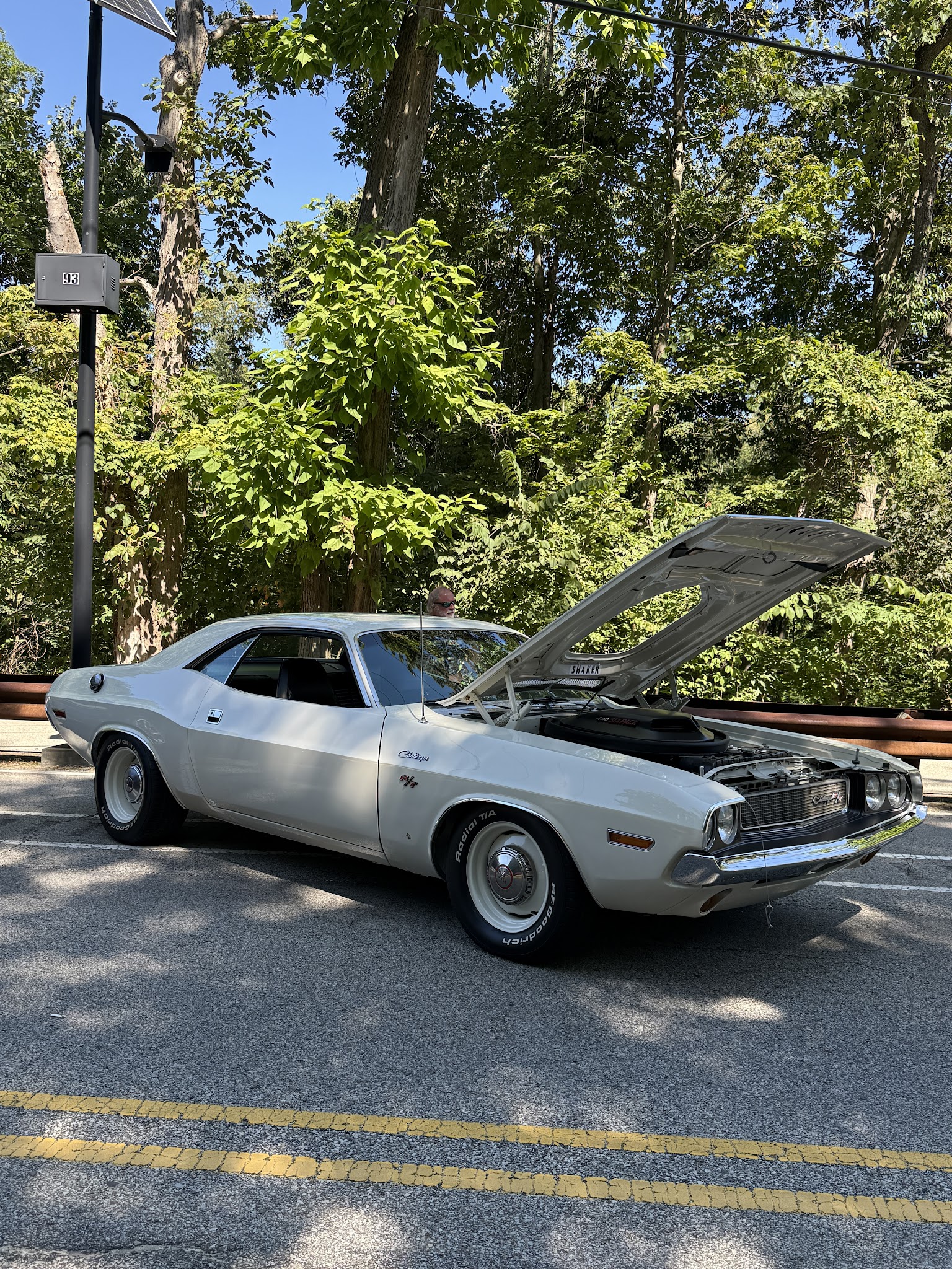 South Park Dog Park - South Park Township, PA