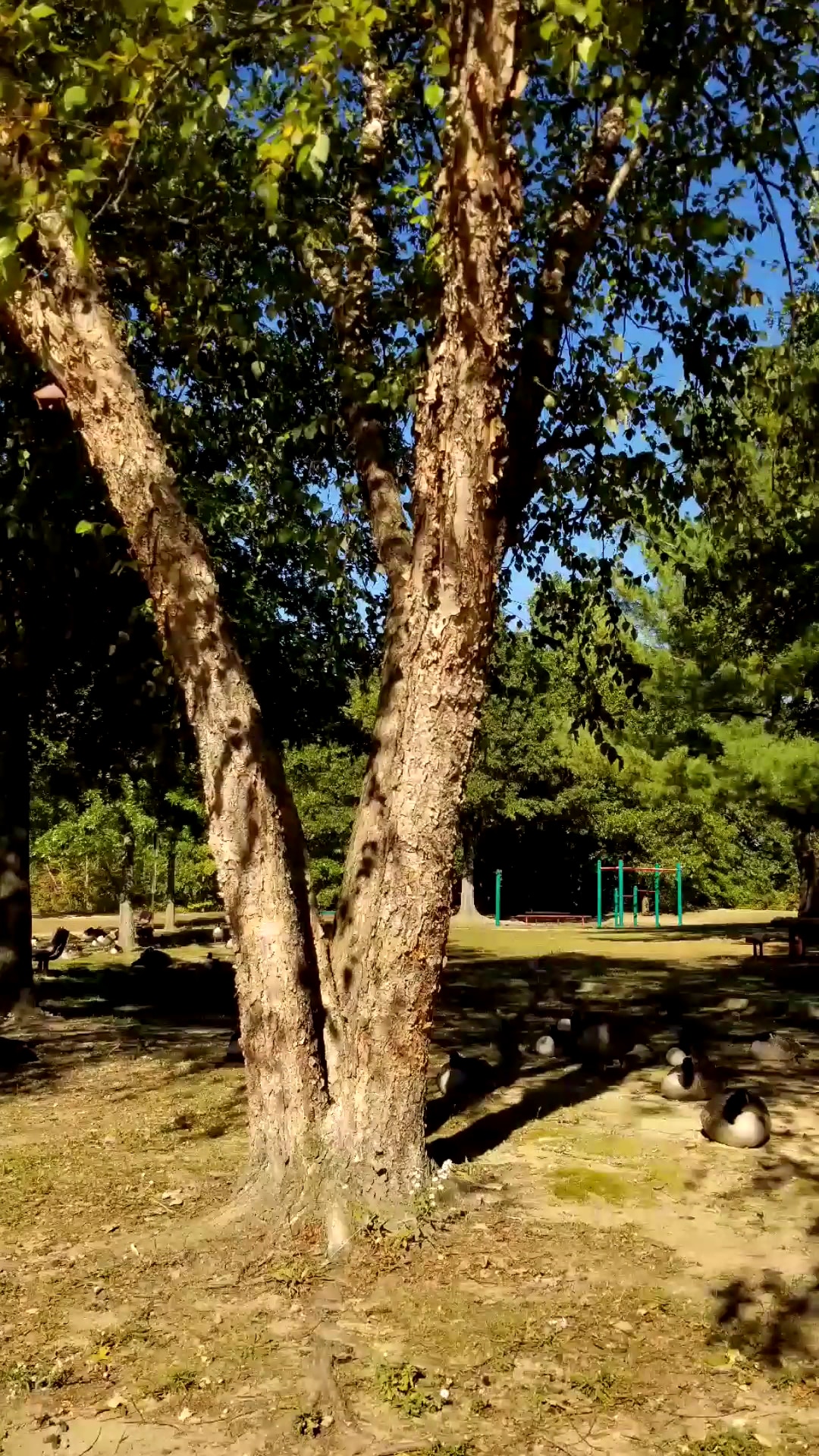 Edward A. Grekoski Park - South River, NJ