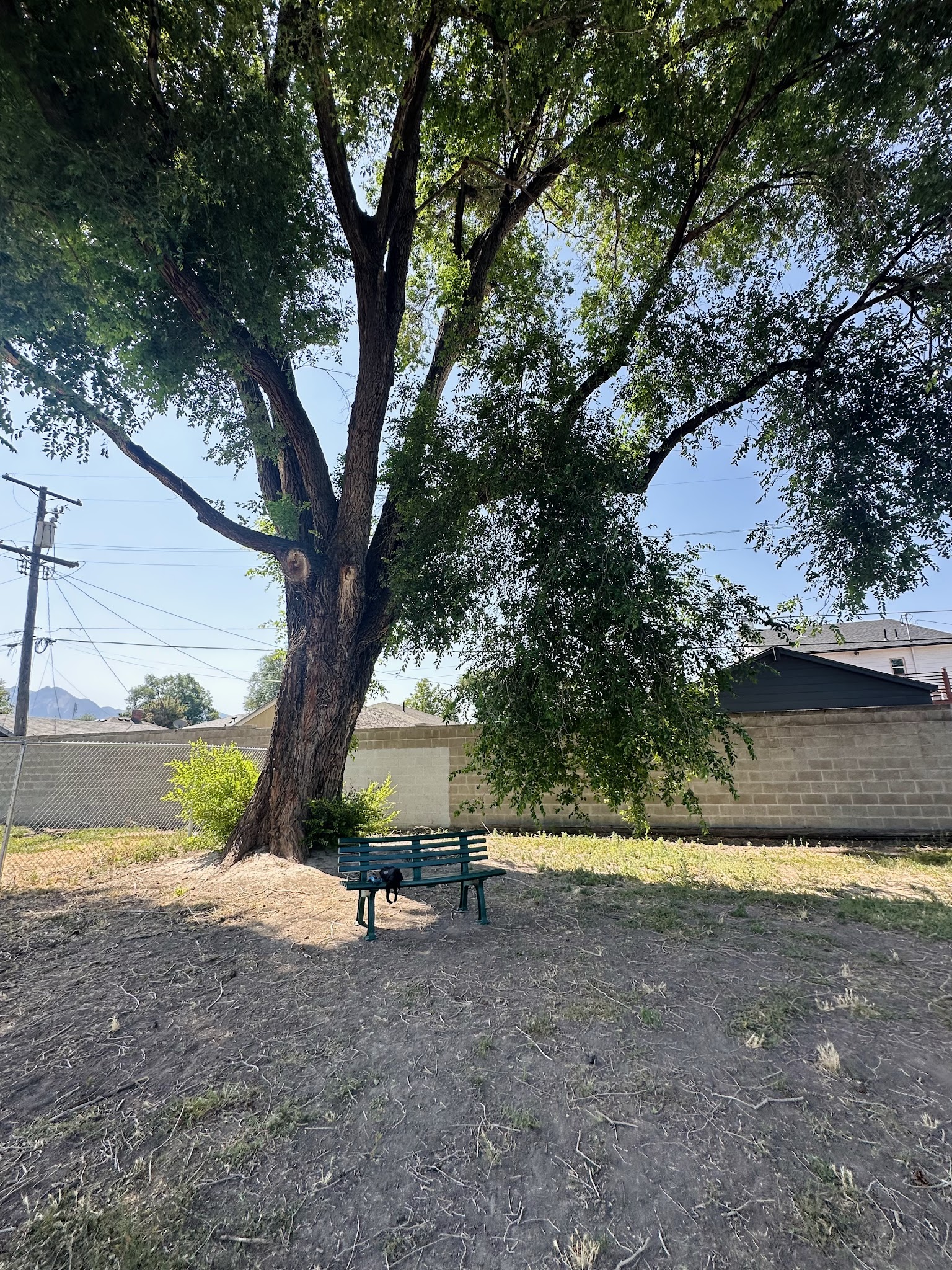 South Salt Lake Dog Park - South Salt Lake, UT