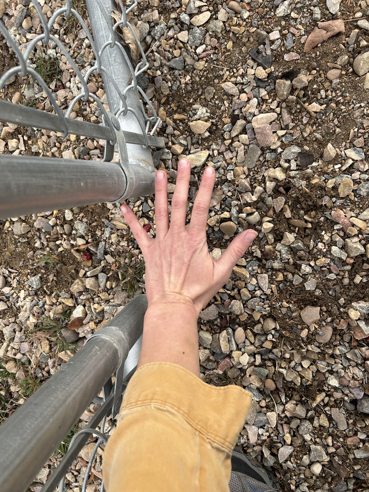 Old Fort Road Dog Park - South Weber, UT