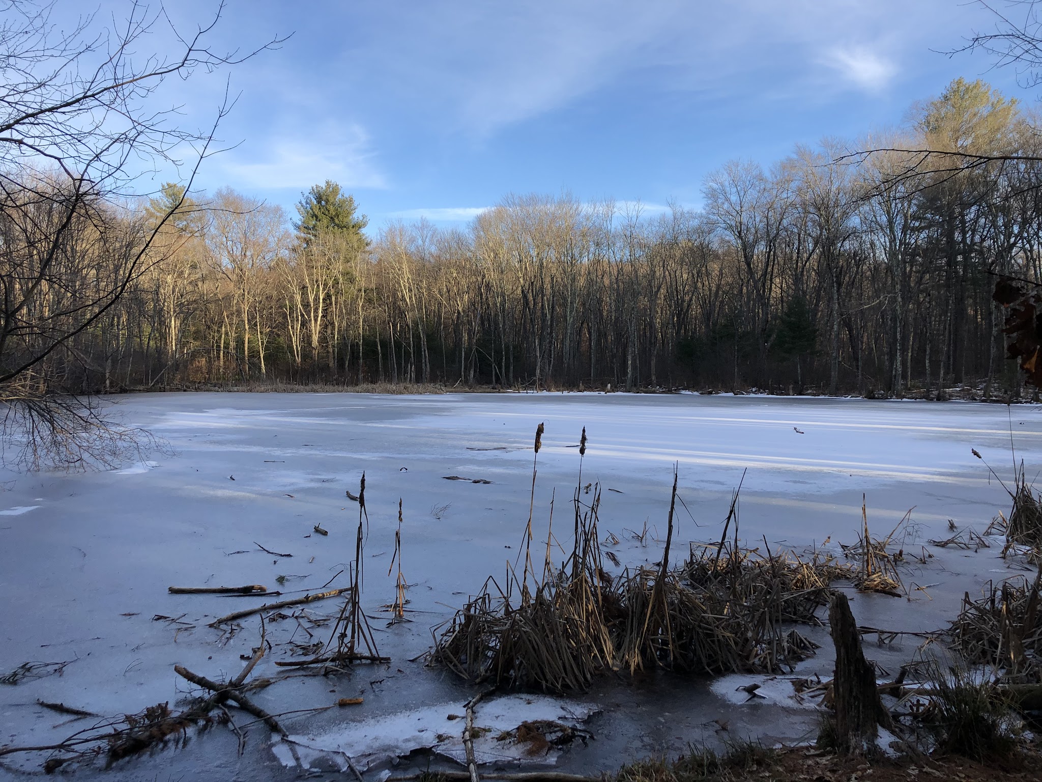 Beals Preserve - Southborough, MA