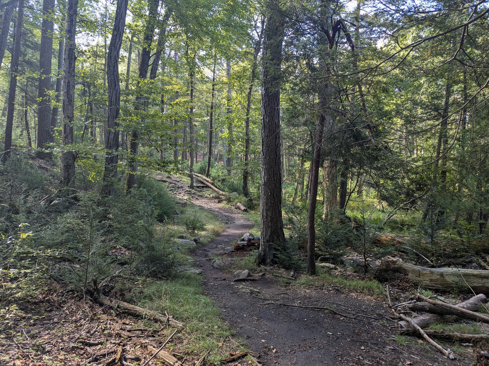 Arden-Surebridge / Long Path Trailheads - Southfields, NY