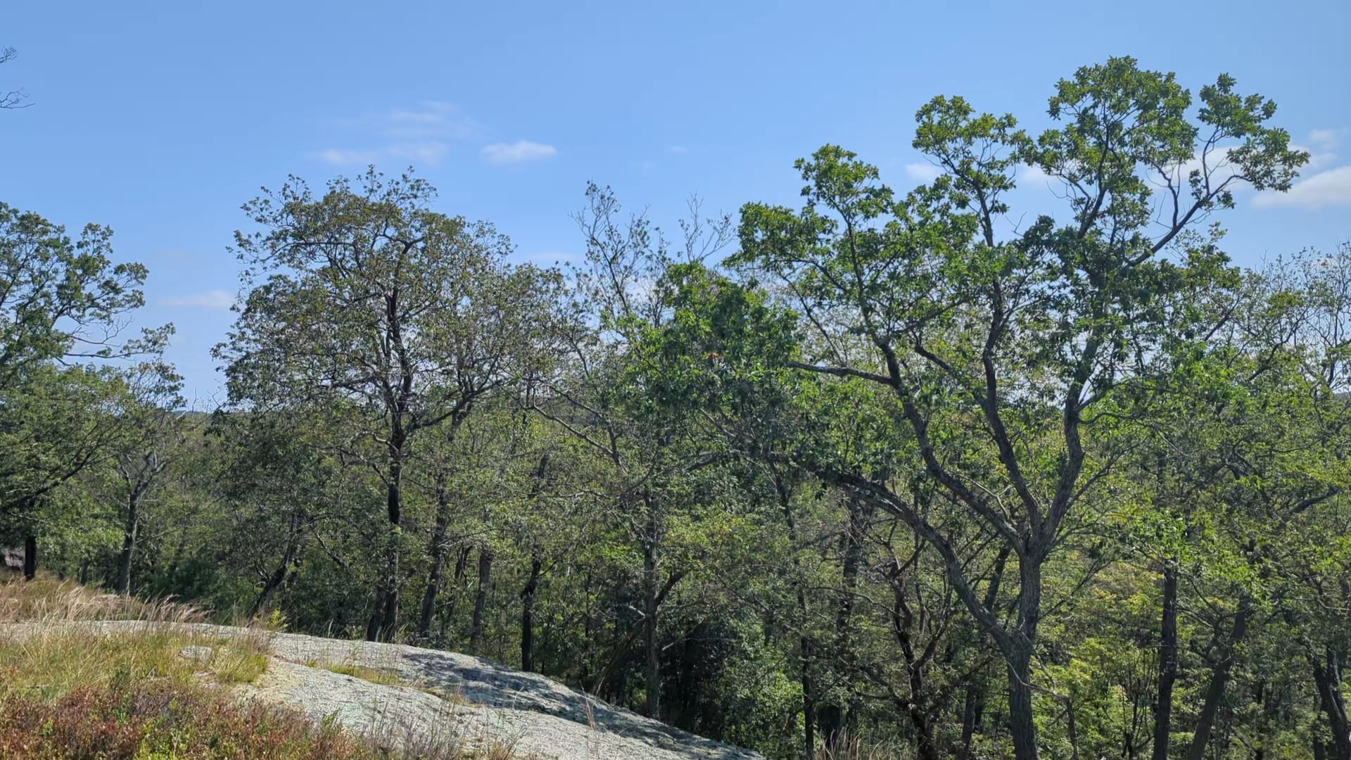 Arden-Surebridge / Long Path Trailheads - Southfields, NY