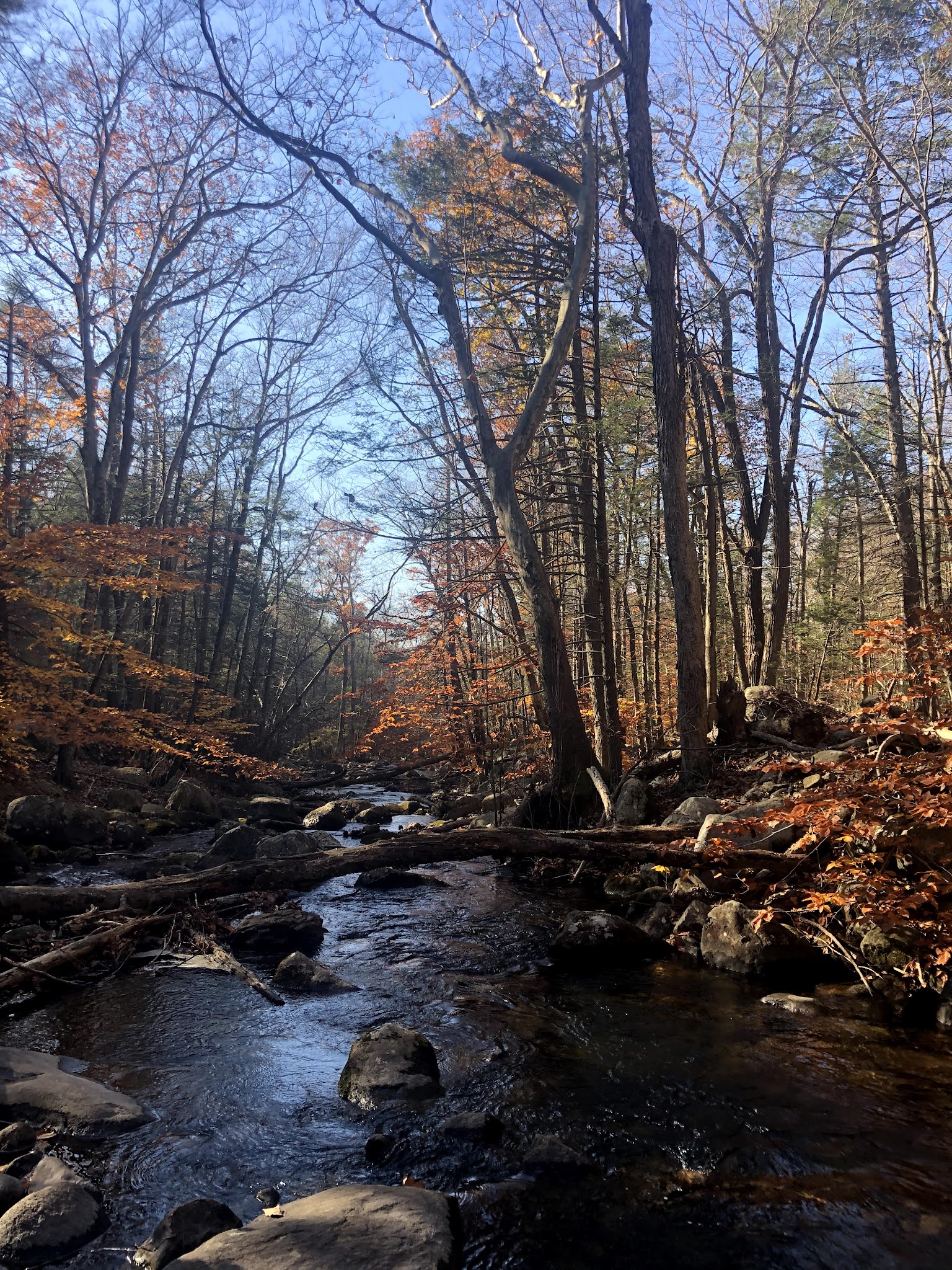 Harriman State Park - Southfields, NY