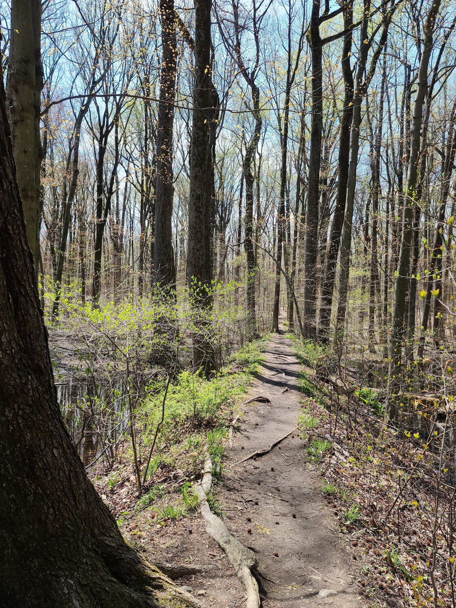 Tallman Mountain State Park - Sparkill, NY
