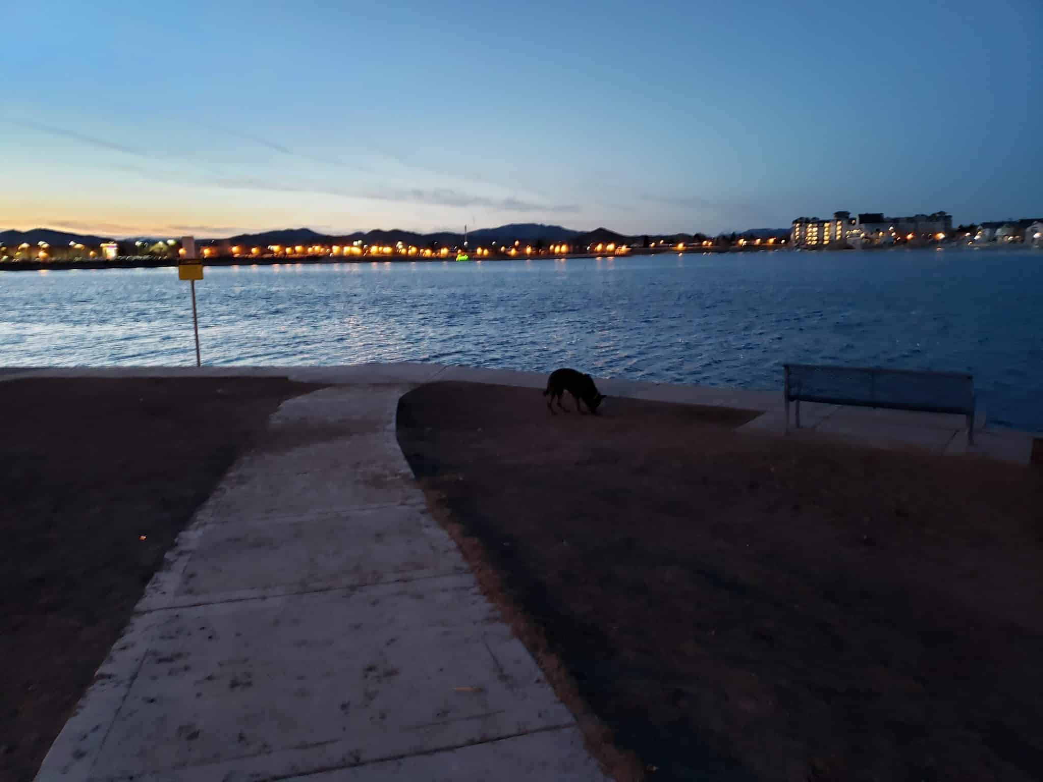 Sparks Marina Dog Park - Sparks, NV