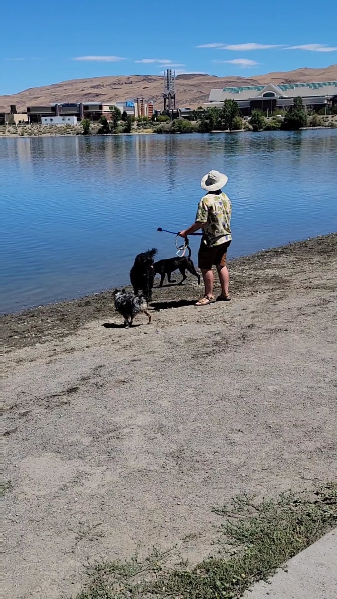 Sparks Marina Dog Park - Sparks, NV