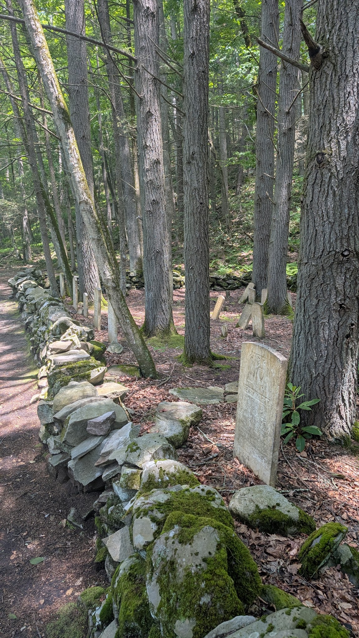 Mongaup River Trail - Sparrow Bush, NY
