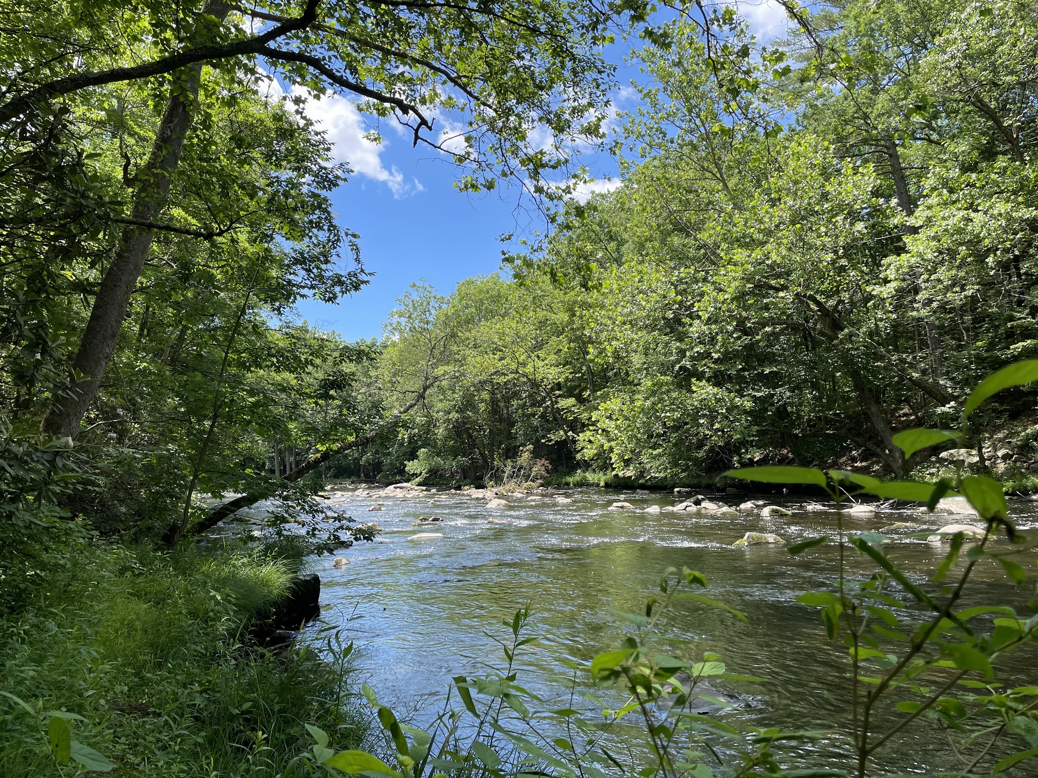 Mongaup River Trail - Sparrow Bush, NY