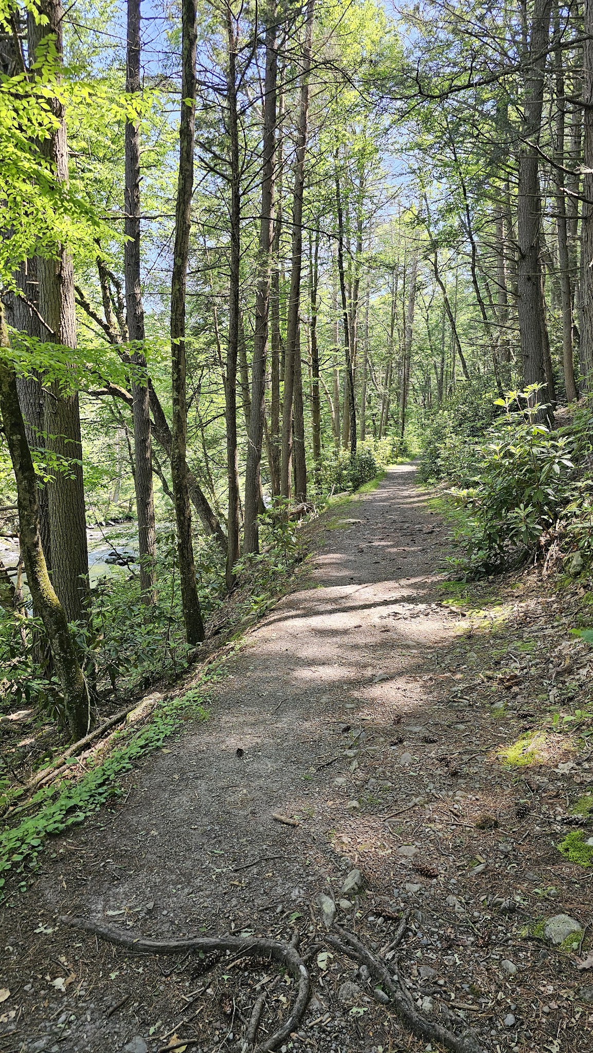 Mongaup River Trail - Sparrow Bush, NY