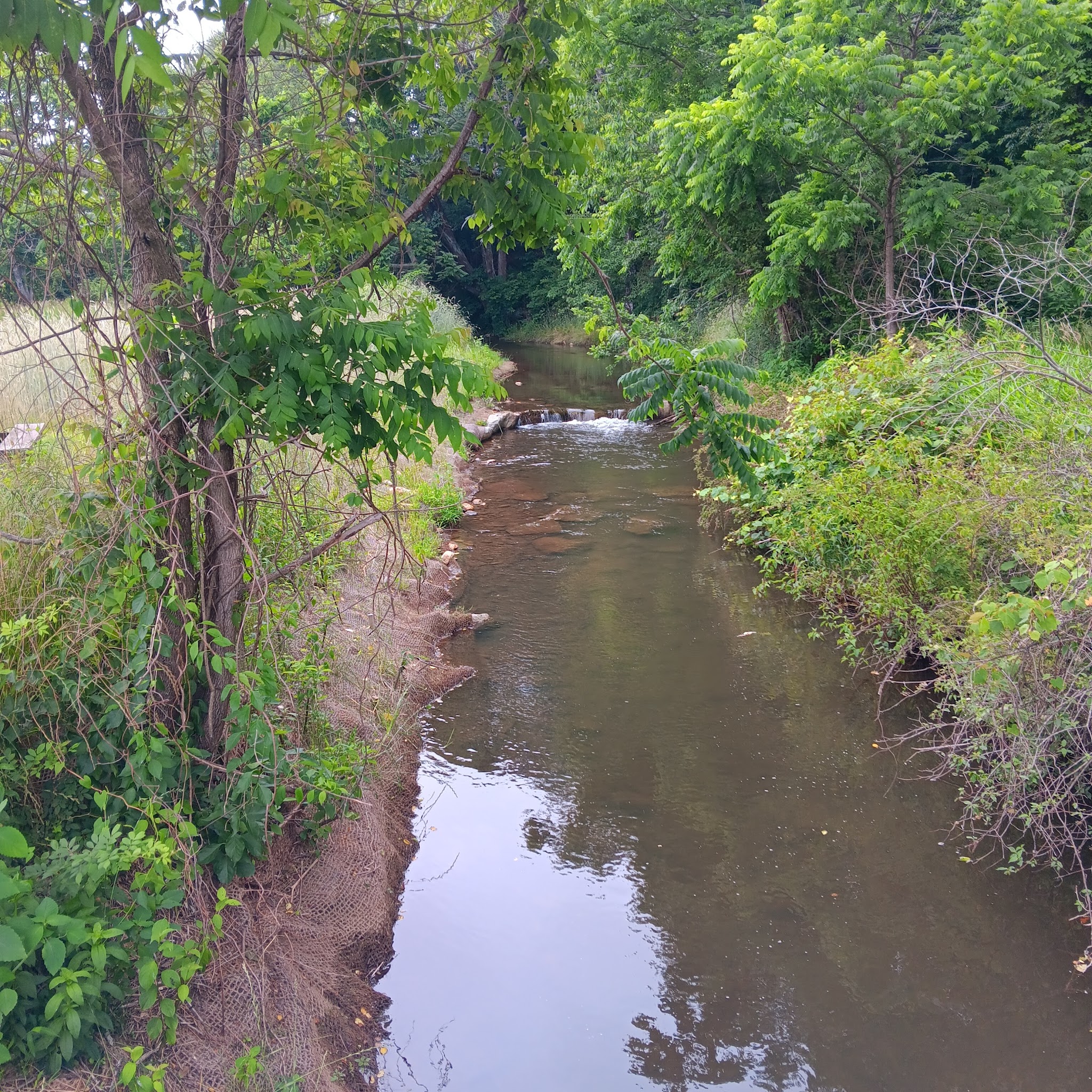 Veterans Park - Sparta, NC