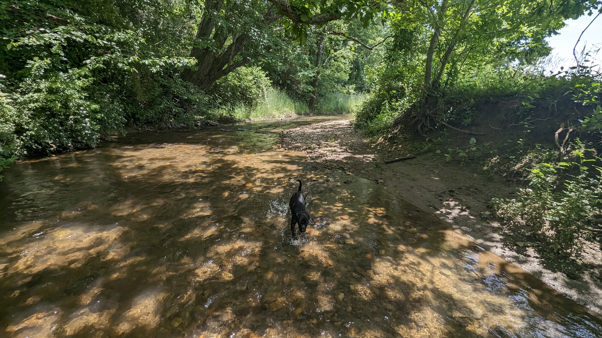 Veterans Park - Sparta, NC