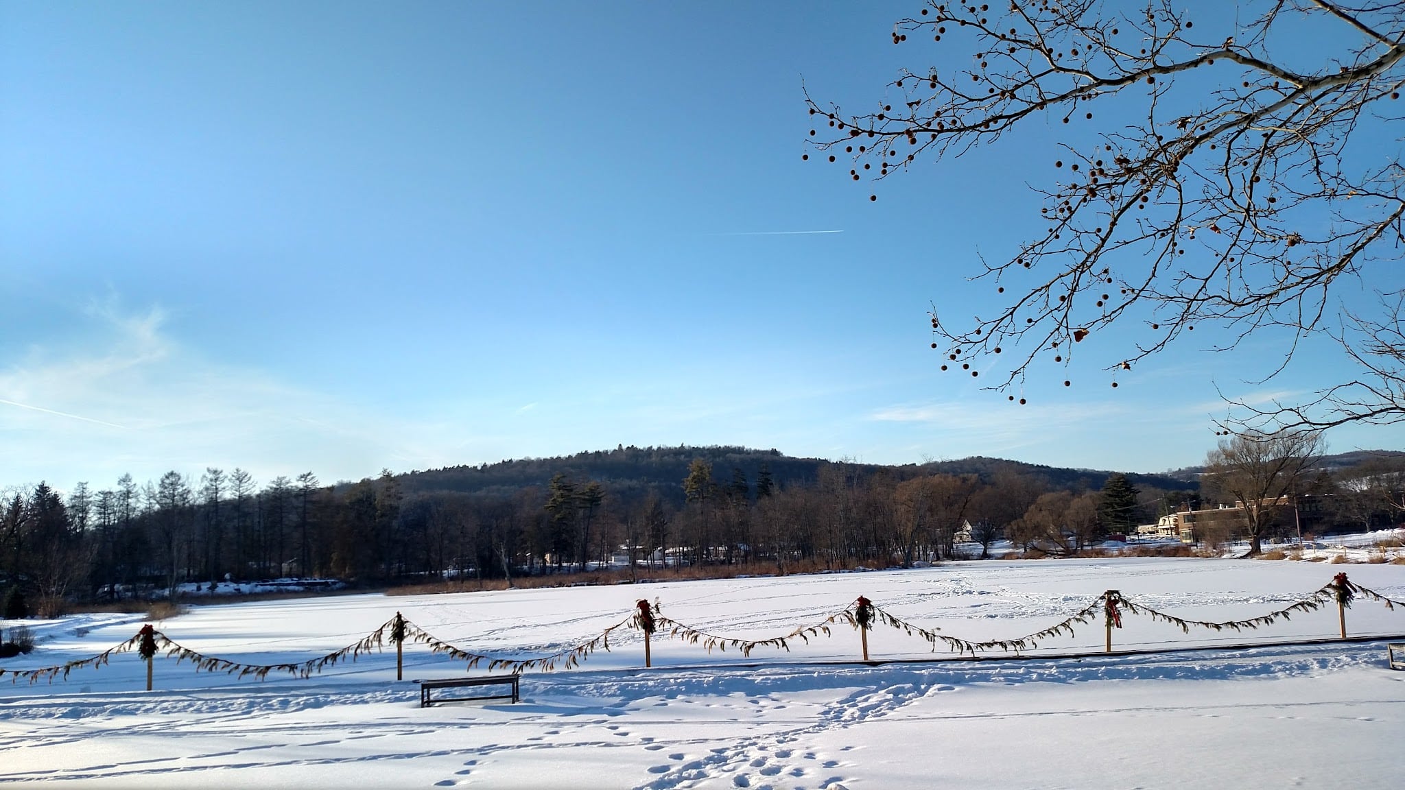 Nichols Pond - Spencer, NY