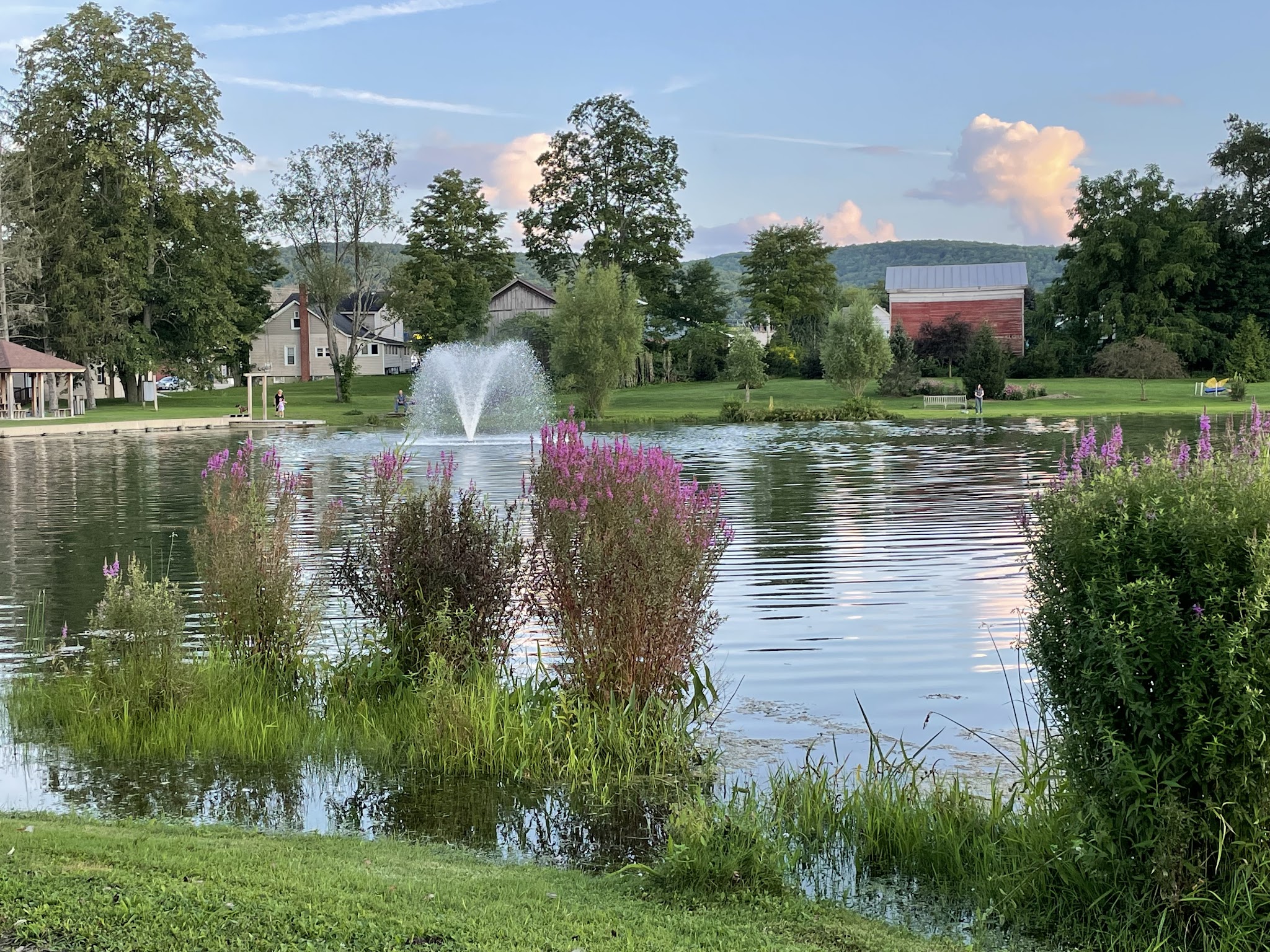 Nichols Pond - Spencer, NY