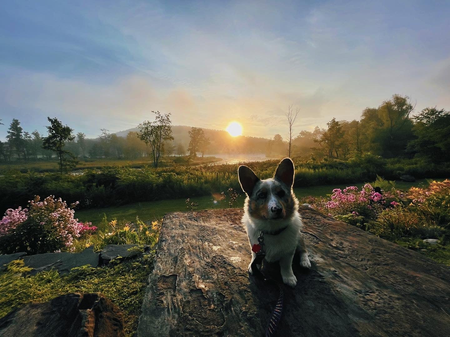 Nichols Pond - Spencer, NY