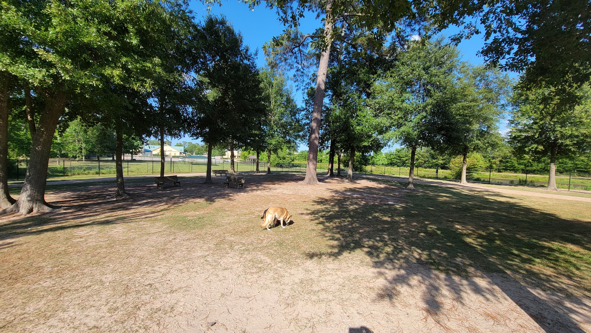 Meyer Dog Park - Spring, TX