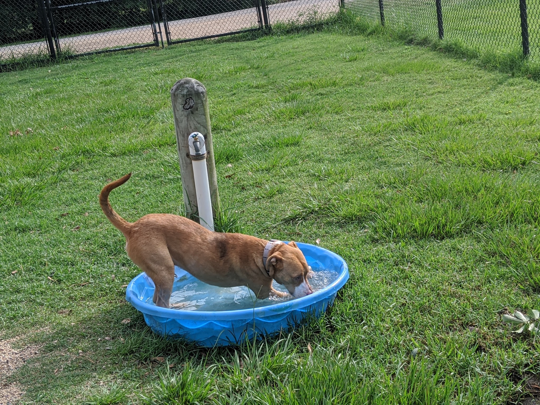 Meyer Dog Park - Spring, TX