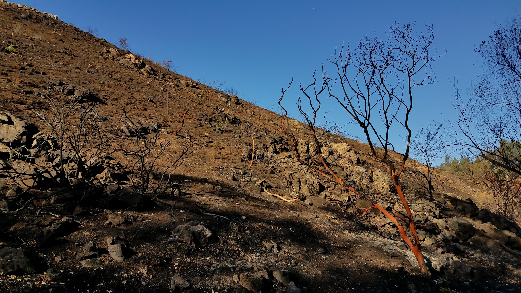 Bancroft Creek - Spring Valley, CA