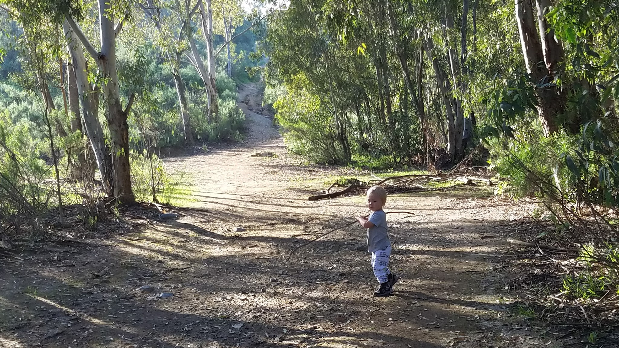 Bancroft Creek - Spring Valley, CA