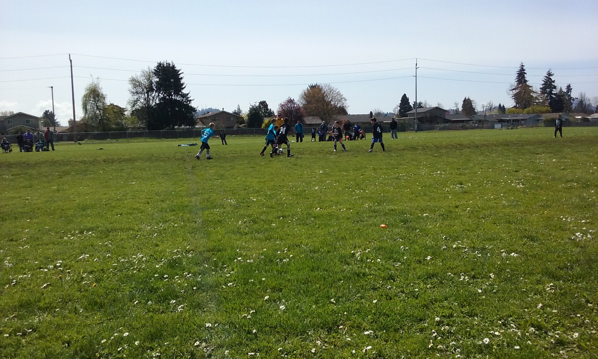 Page Park - Springfield, OR