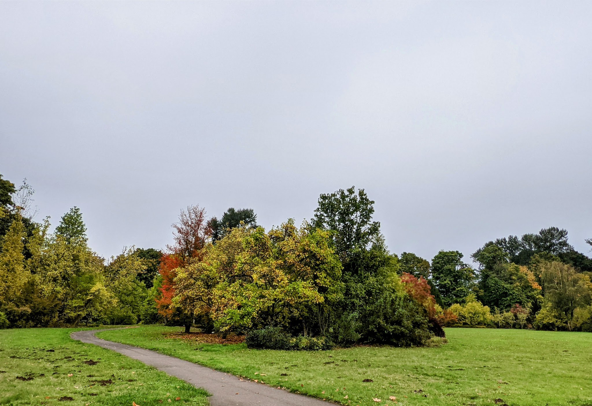 Wallace M. Ruff Jr. Memorial Park - Springfield, OR