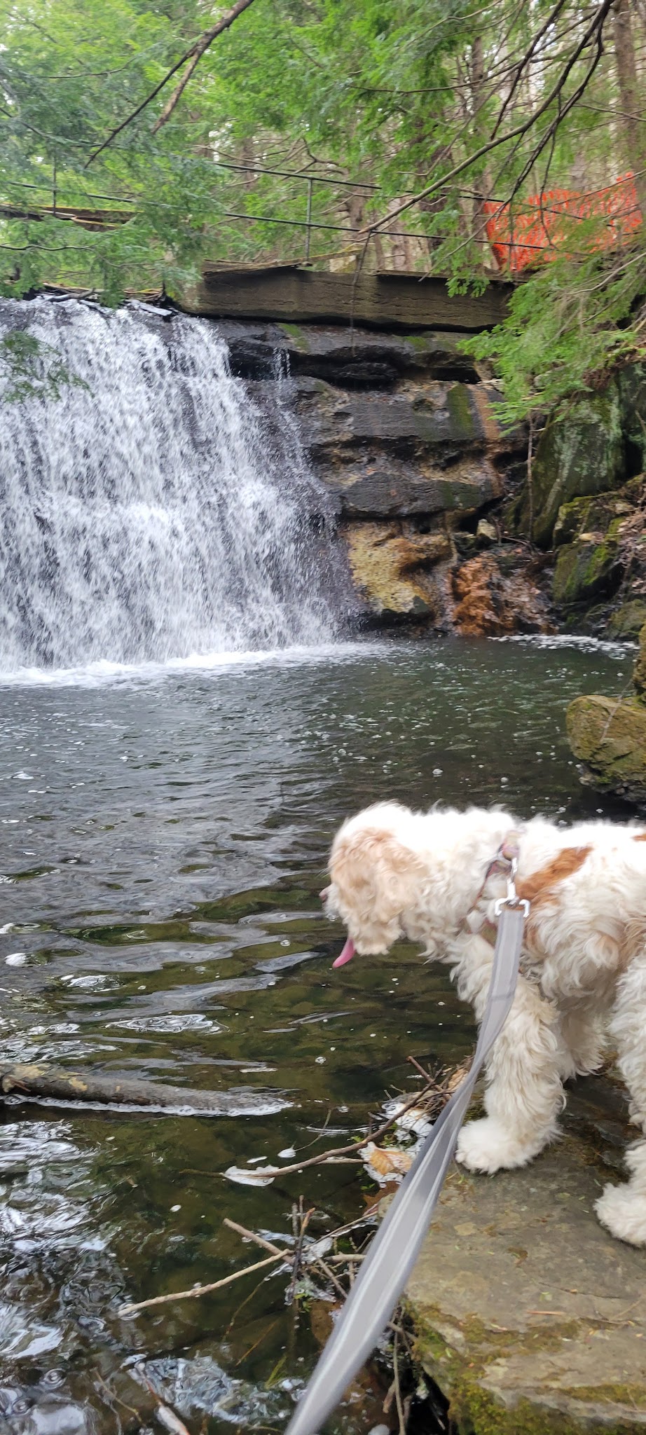 Muckross State Park - Springfield, VT