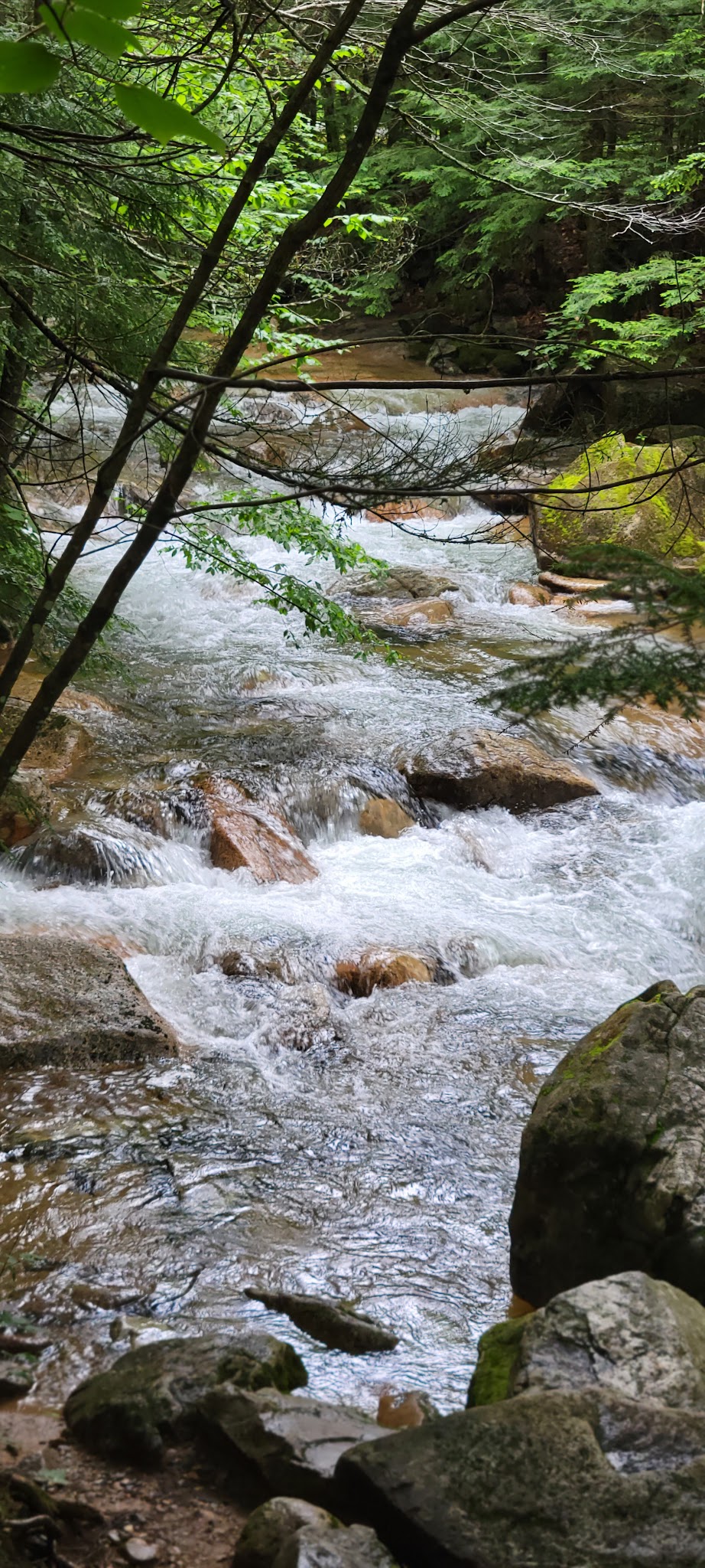 Muckross State Park - Springfield, VT