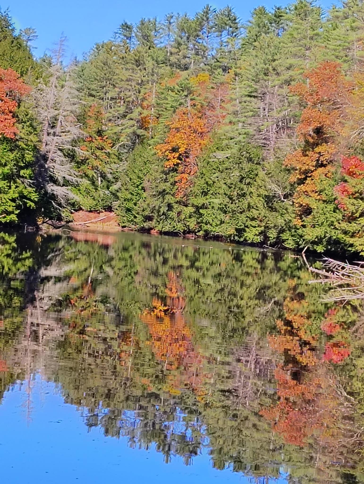 Muckross State Park - Springfield, VT