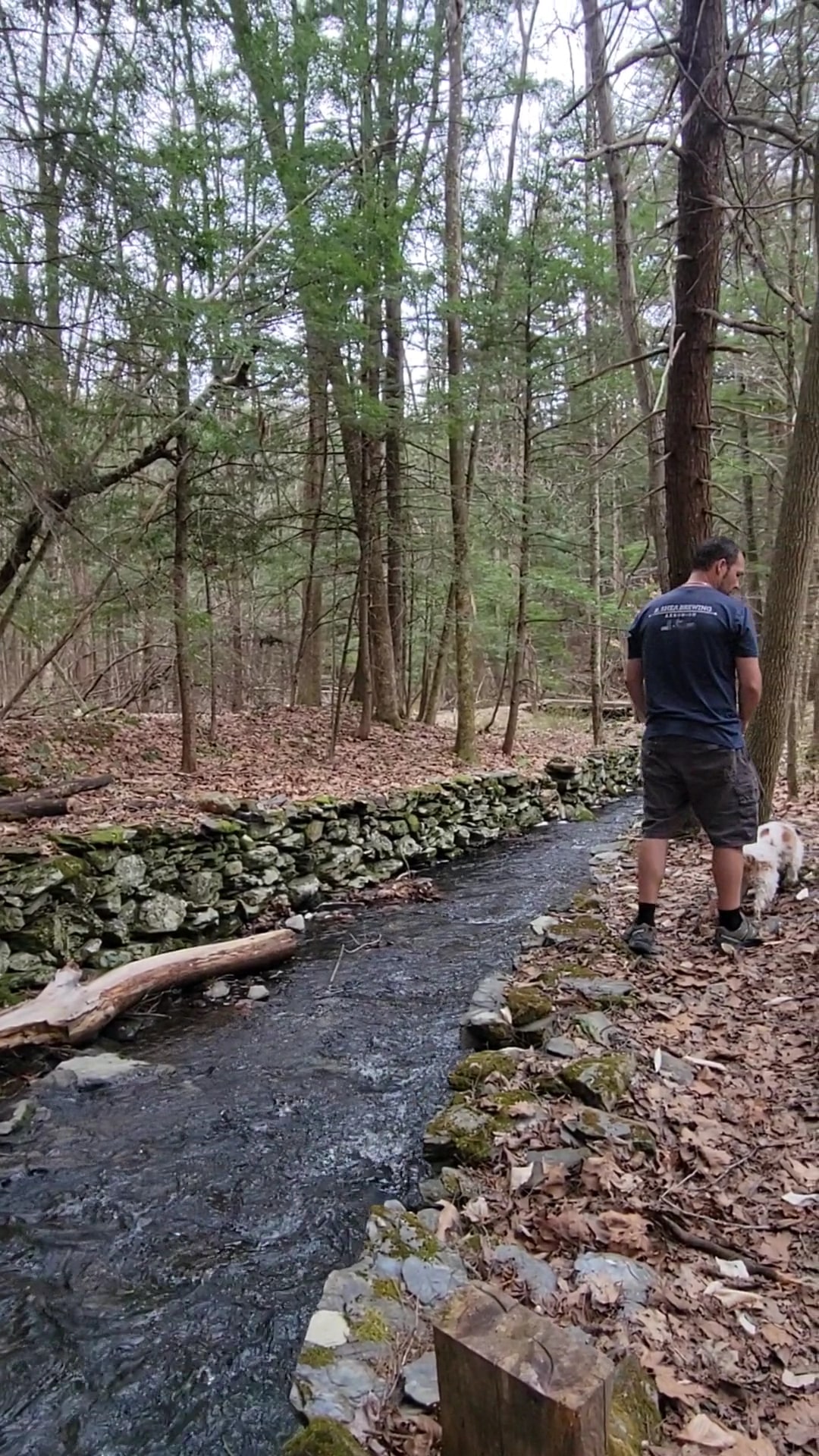 Muckross State Park - Springfield, VT