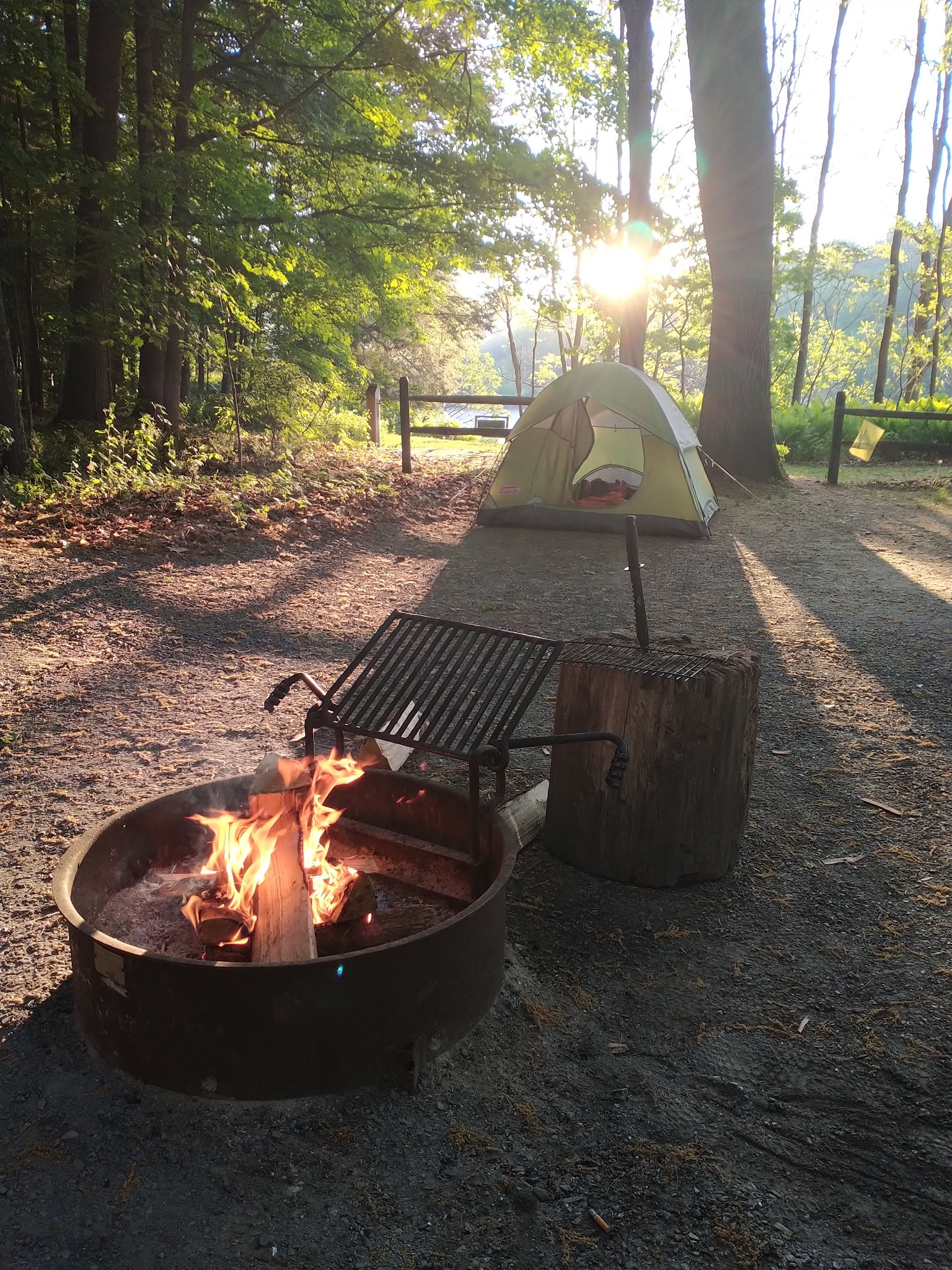 Wilgus State Park - Springfield, VT